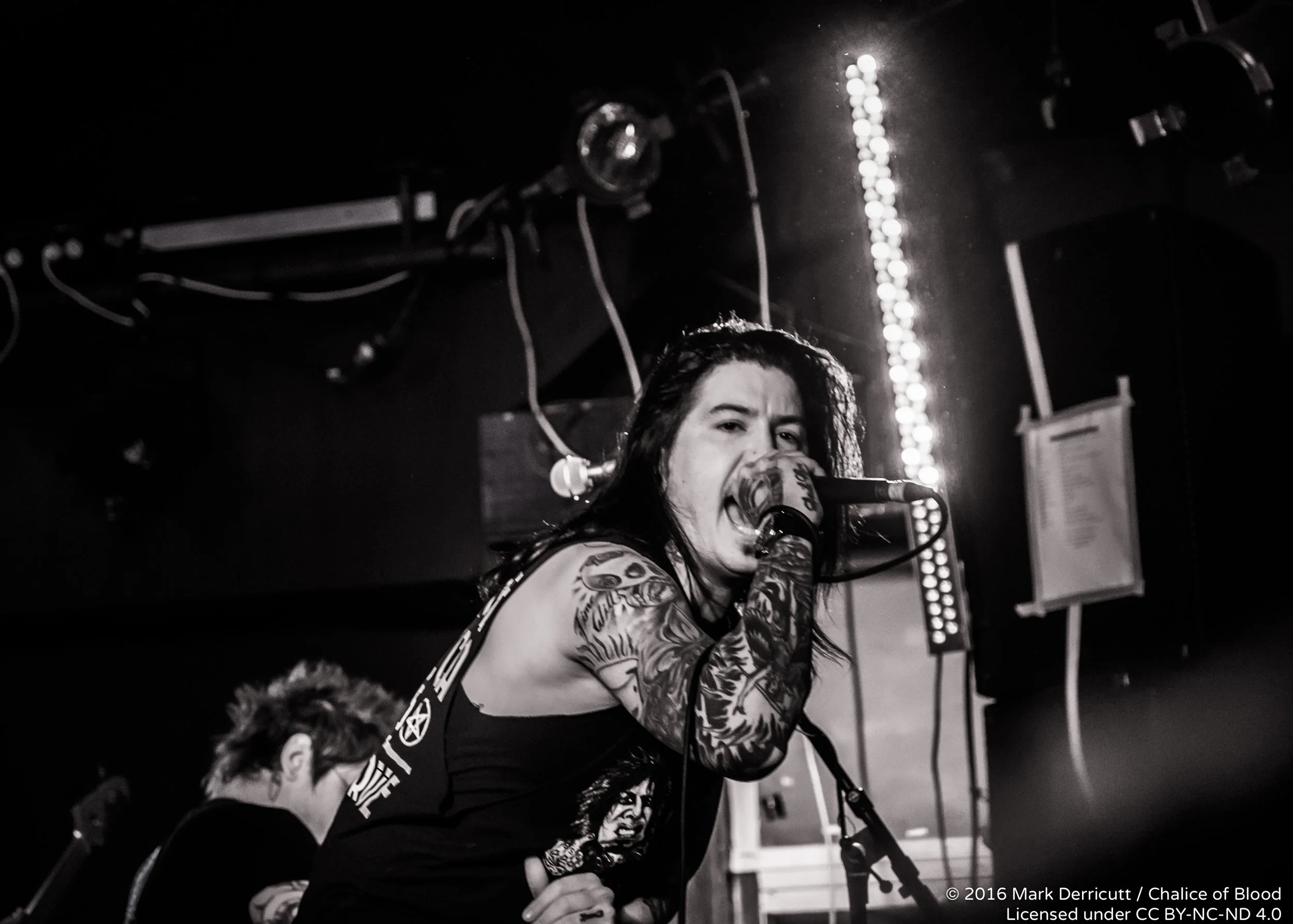 Escape The Fate