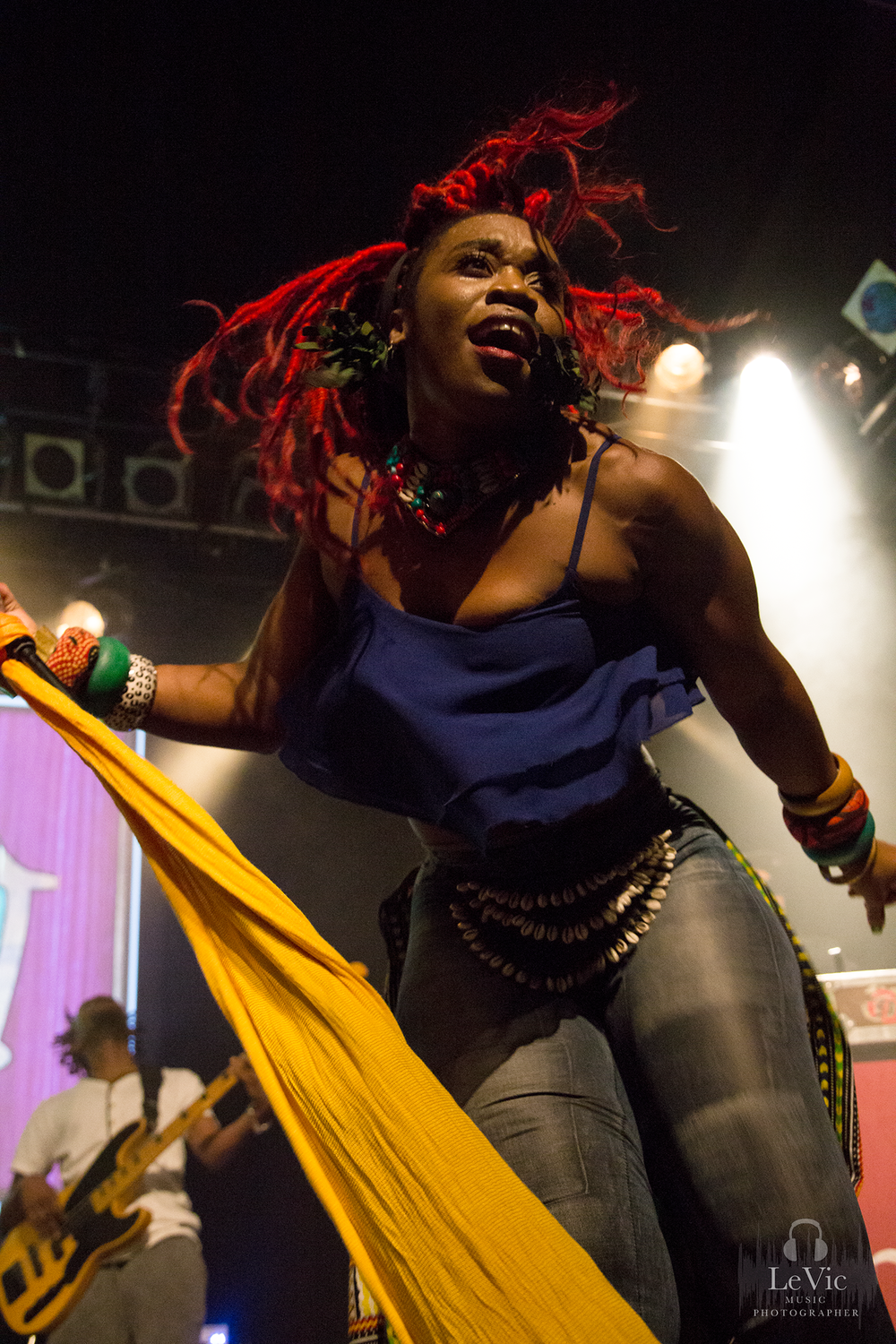 Concert Review - Arrested Development - Auckland - 28th August 2016