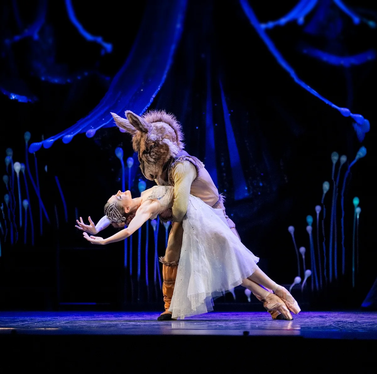 RNZB to perform 'A Midsummer Night’s Dream' for four Wellington only performances