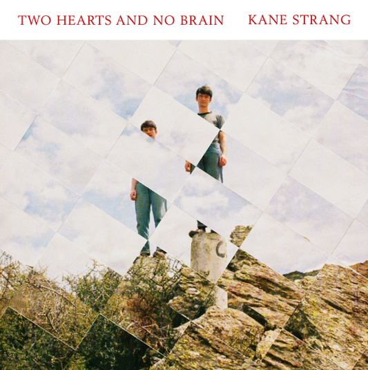 Kane Strang shares new single 'My Smile Is Extinct'