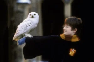 Harry Potter in concert kicks off this weekend