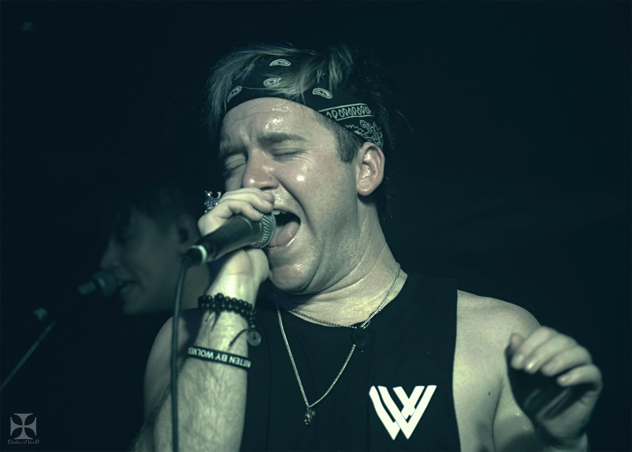 Concert Review - Written By Wolves - Auckland - 22nd July 2017