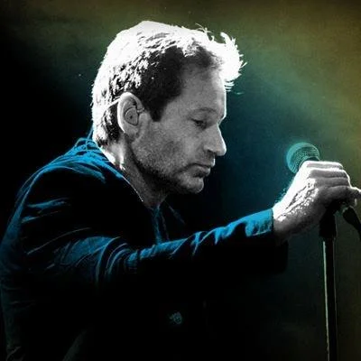 David Duchovny to play two NZ shows