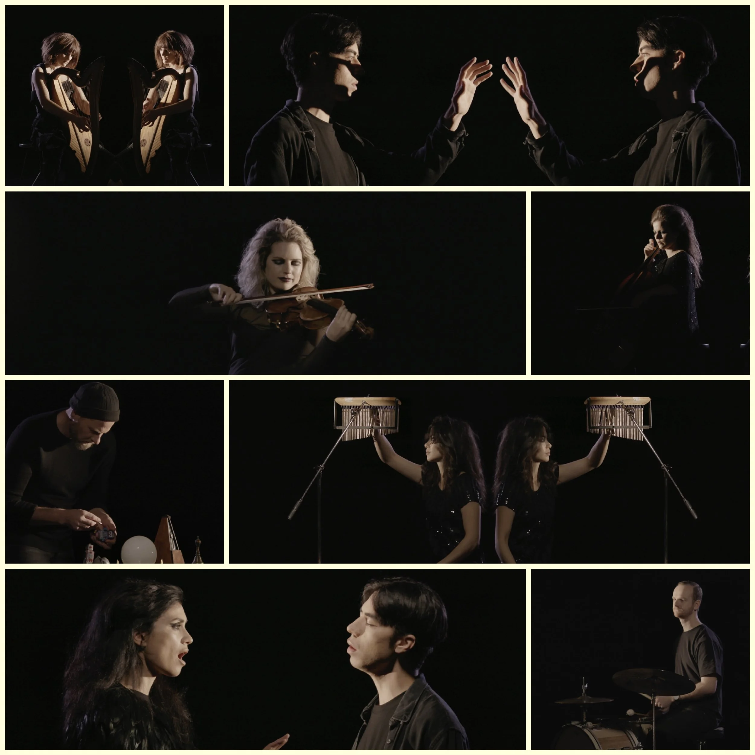Blackbird Ensemble announces all new show in honour of Björk
