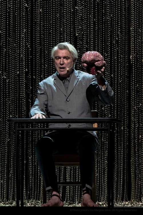 Concert Review with PHOTOS - David Byrne