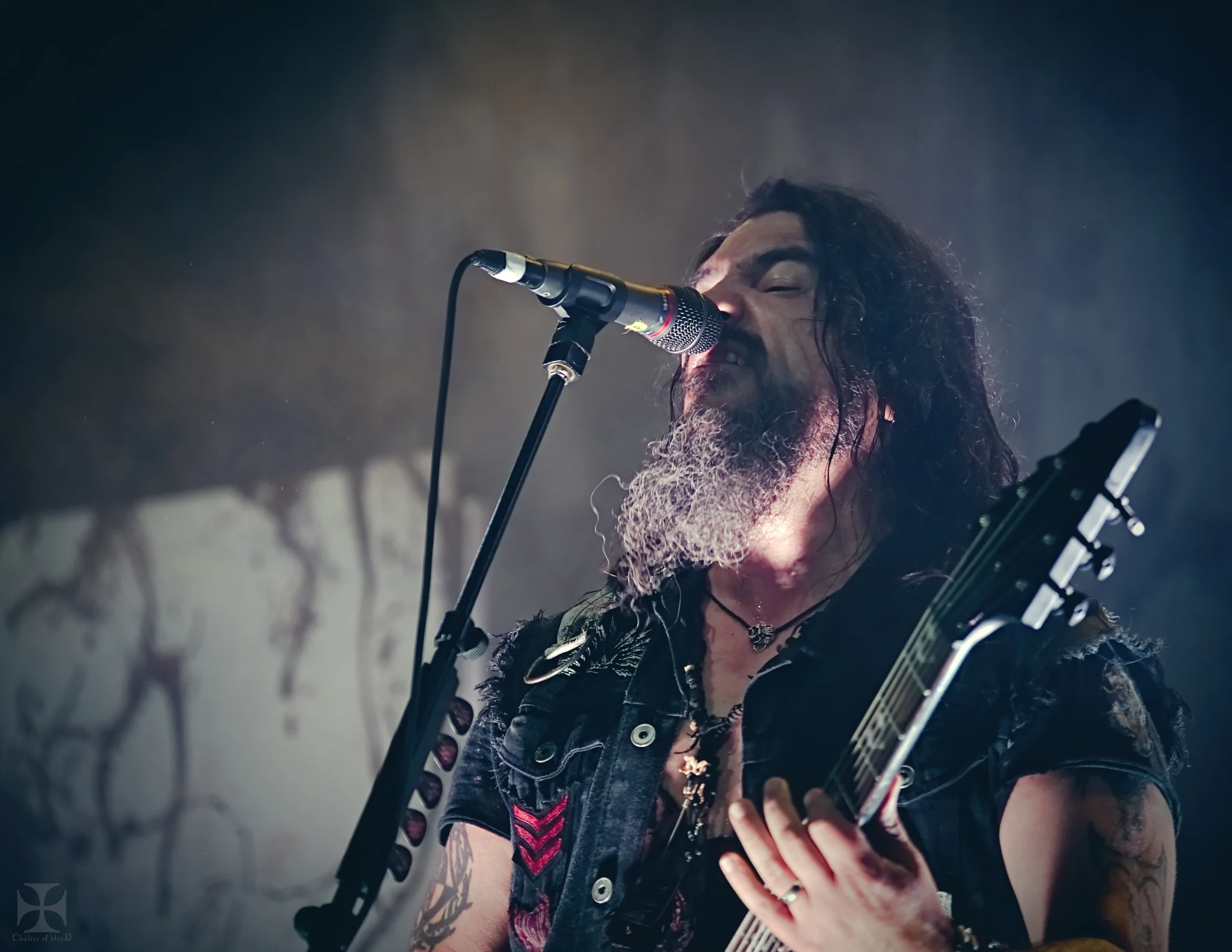 Concert Review with PHOTOS - Machine Head