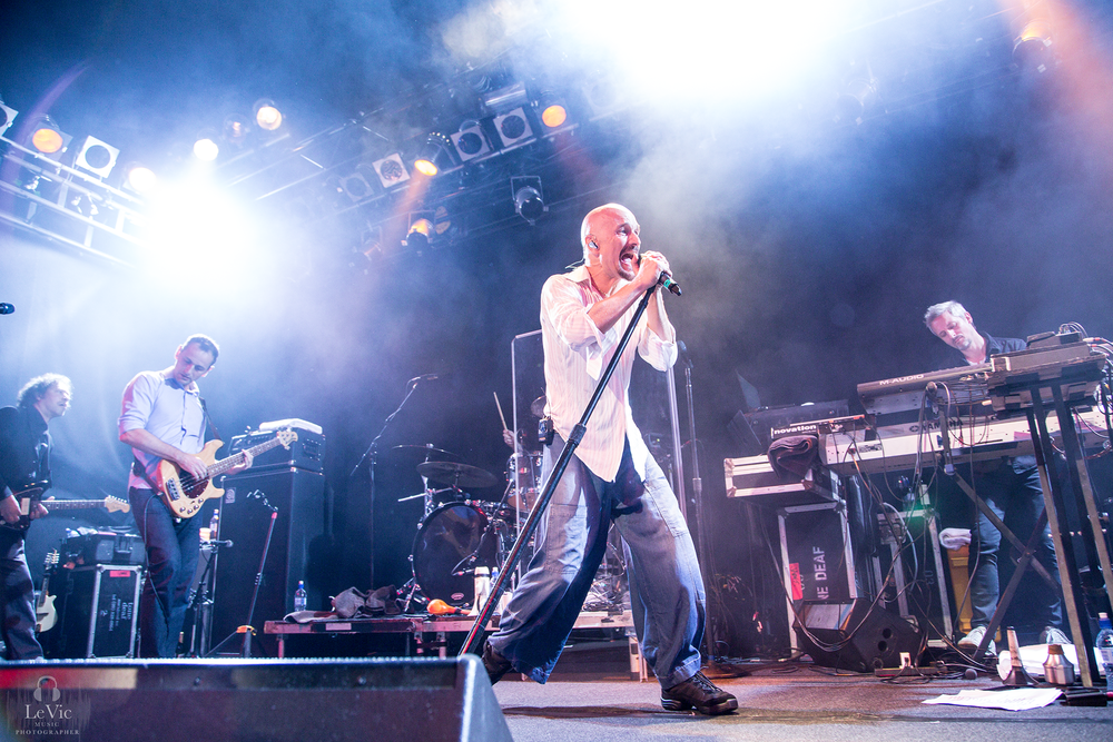 James announce NZ tour