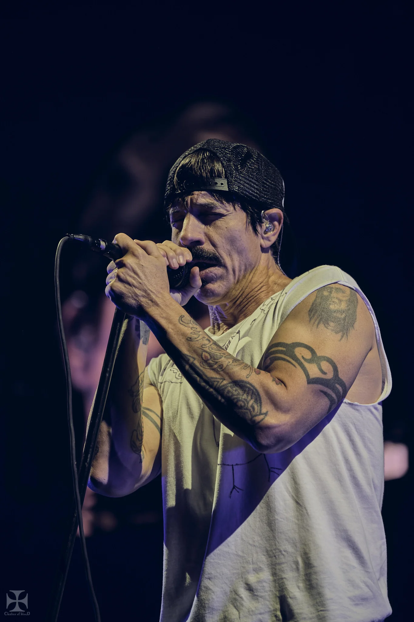 Concert Review with PHOTOS - Red Hot Chili Peppers