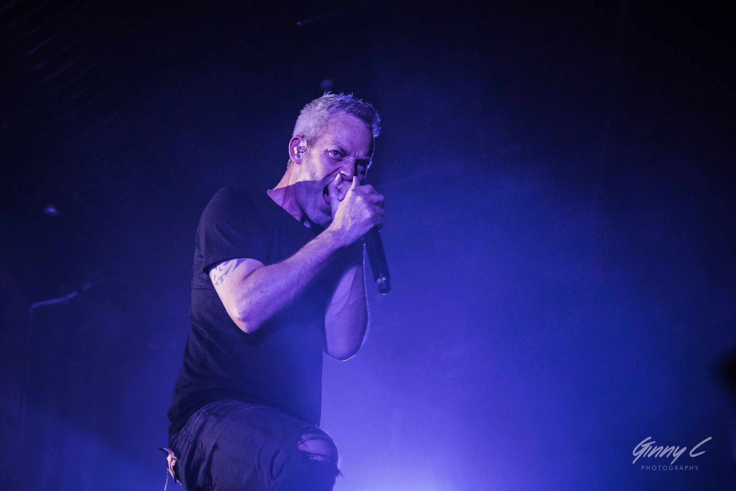 Live Photos - Blindspott - Auckland - Saturday 8th December 2018
