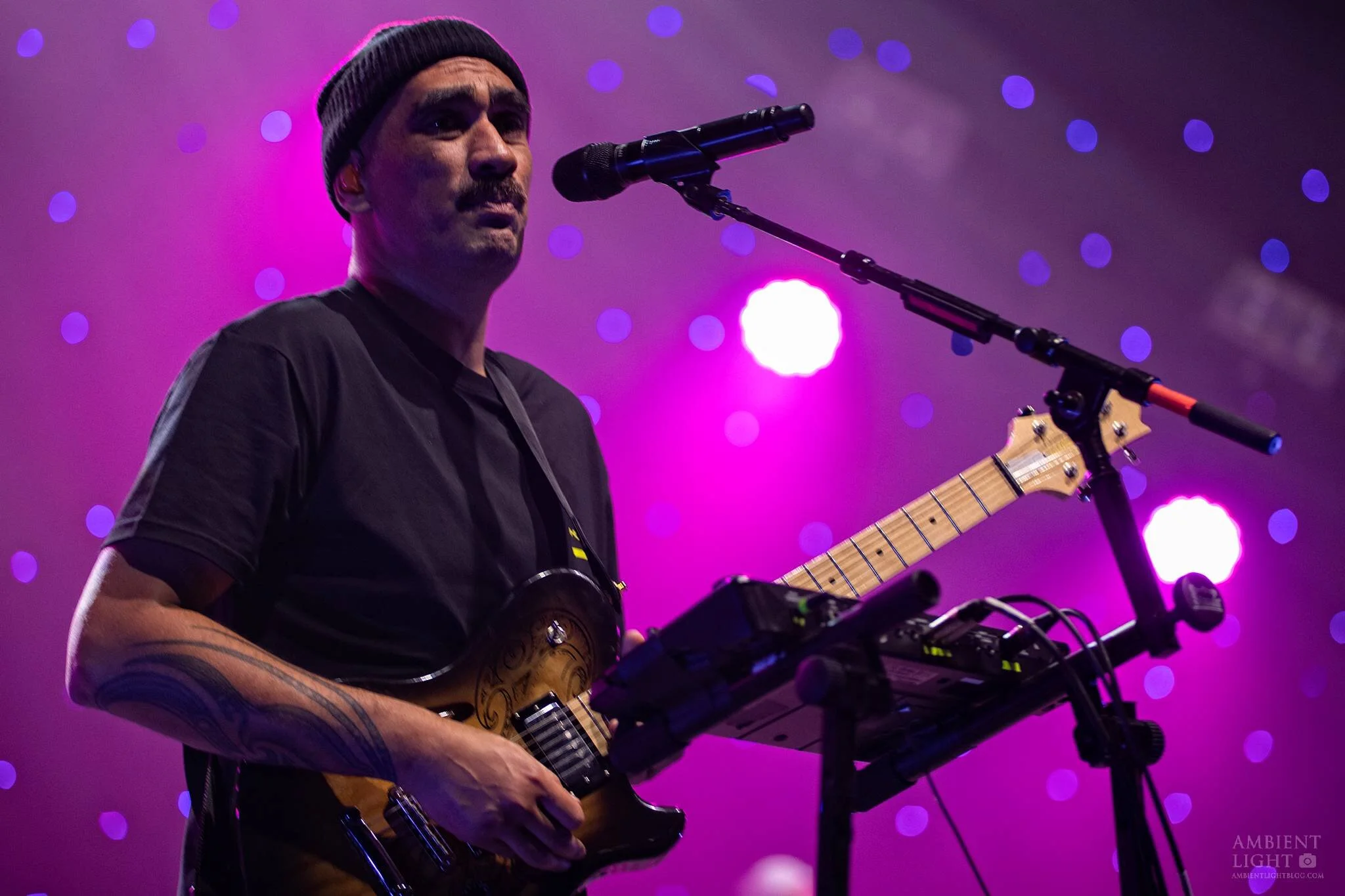 Concert Review - Fat Freddy's Drop - Auckland - 7th November 2020
