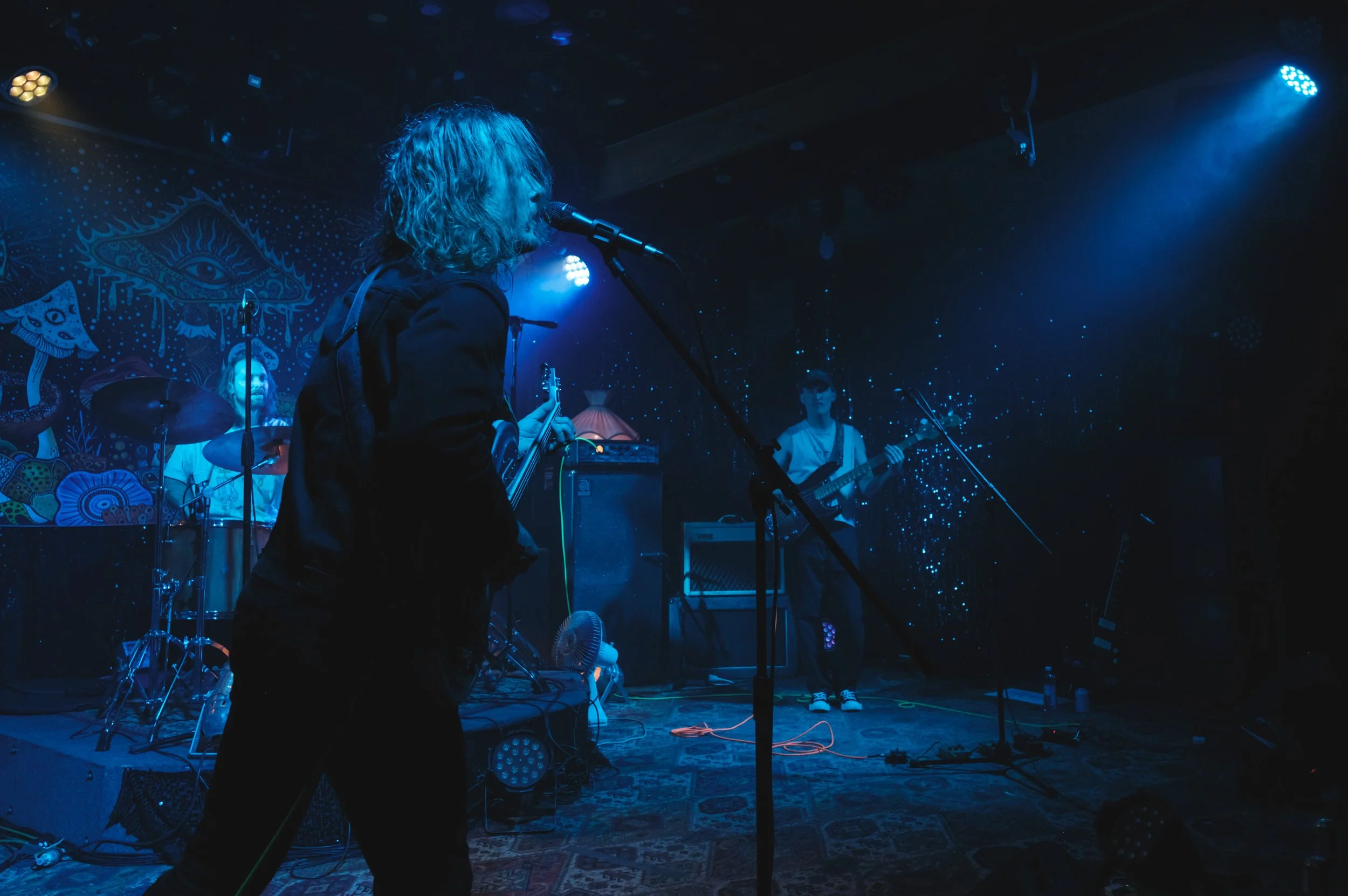 Concert Review - Sea Mouse - Napier - 29th November 2024