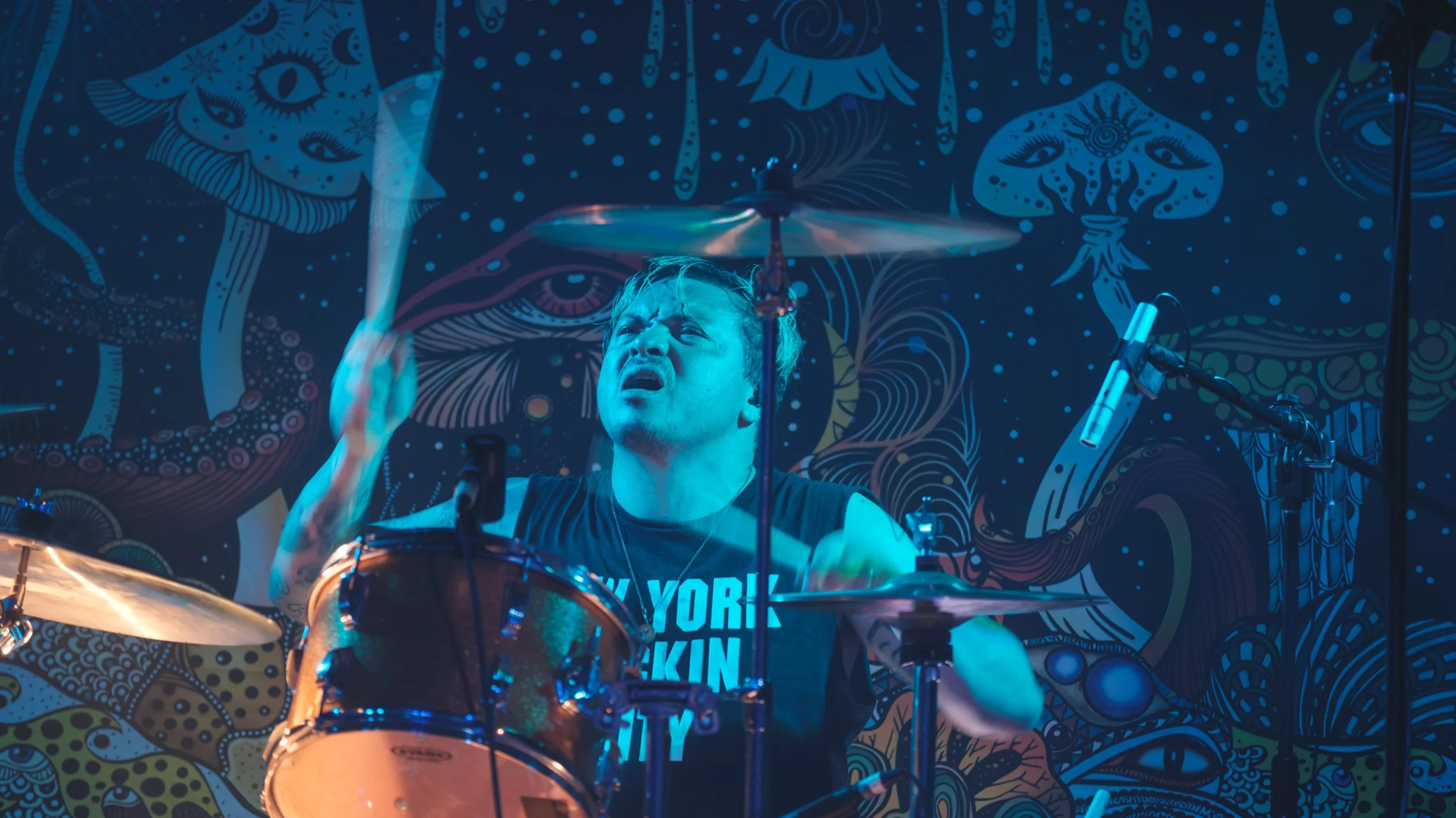 Concert Review - Spotlights - Napier - 27th November 2024