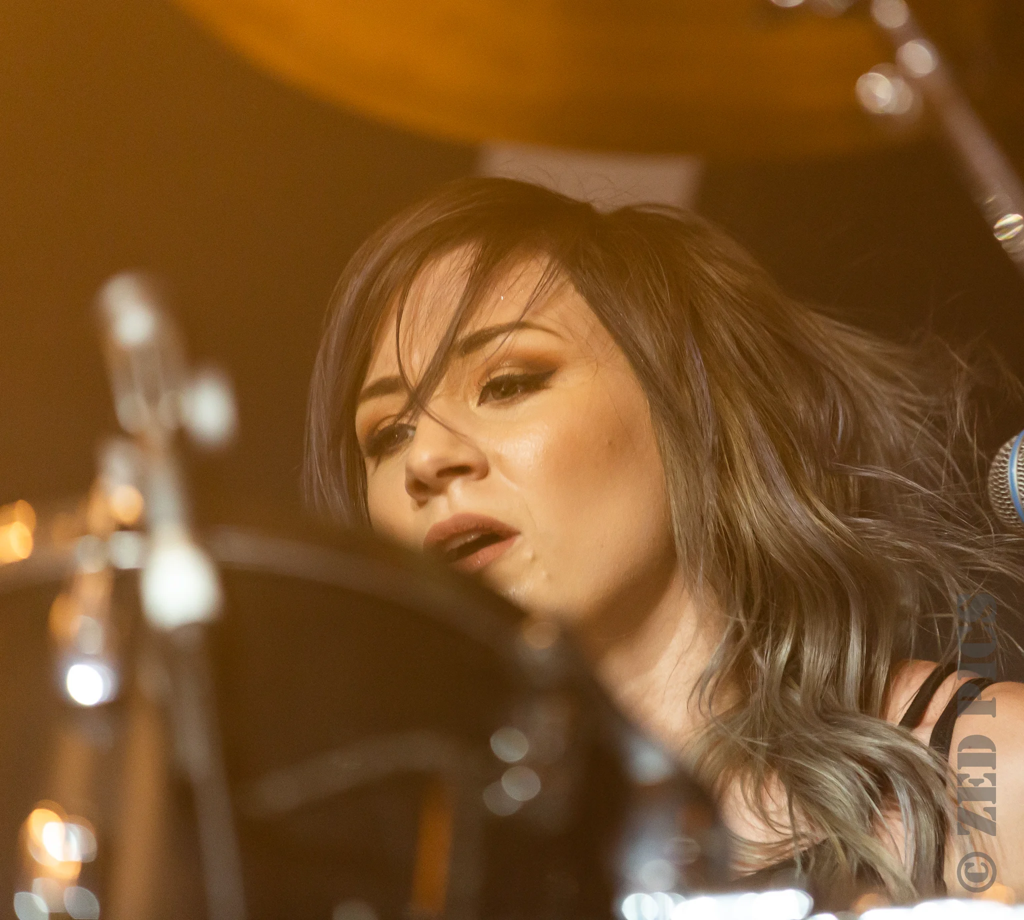 Concert Review with PHOTOS - Skillet