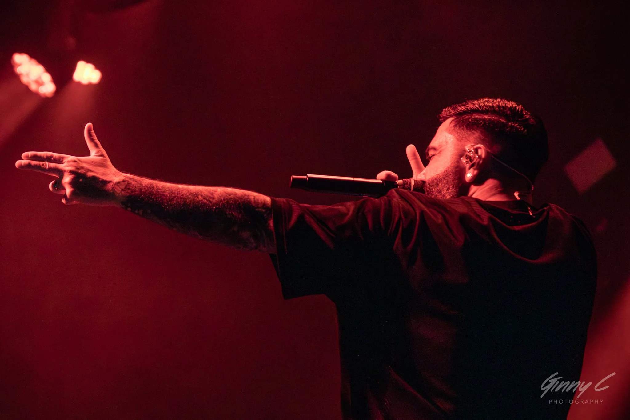 Live Photos - A Day to Remember - Auckland - 25th February 2025