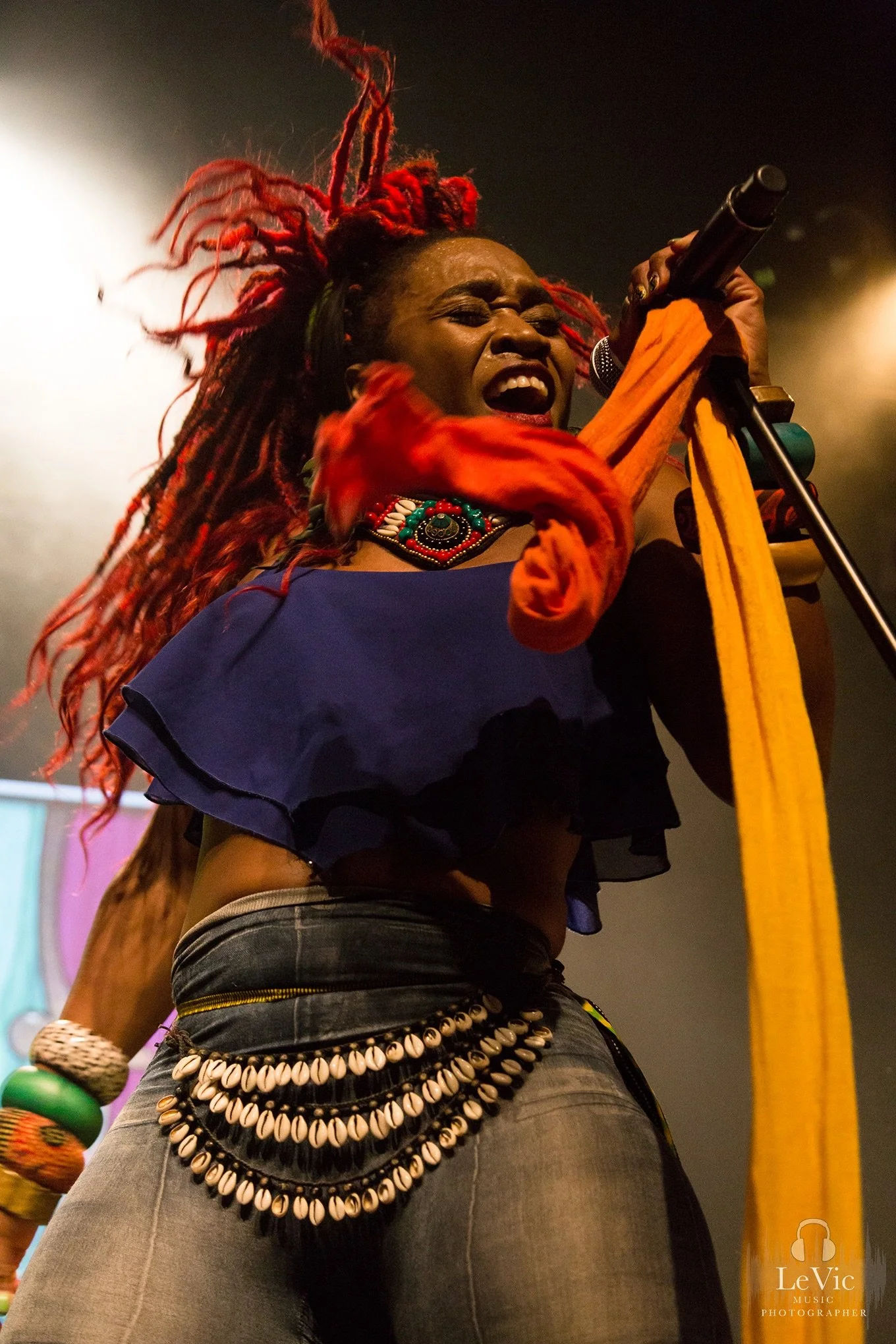 Live Photos - Arrested Development - Auckland - 28th August 2016