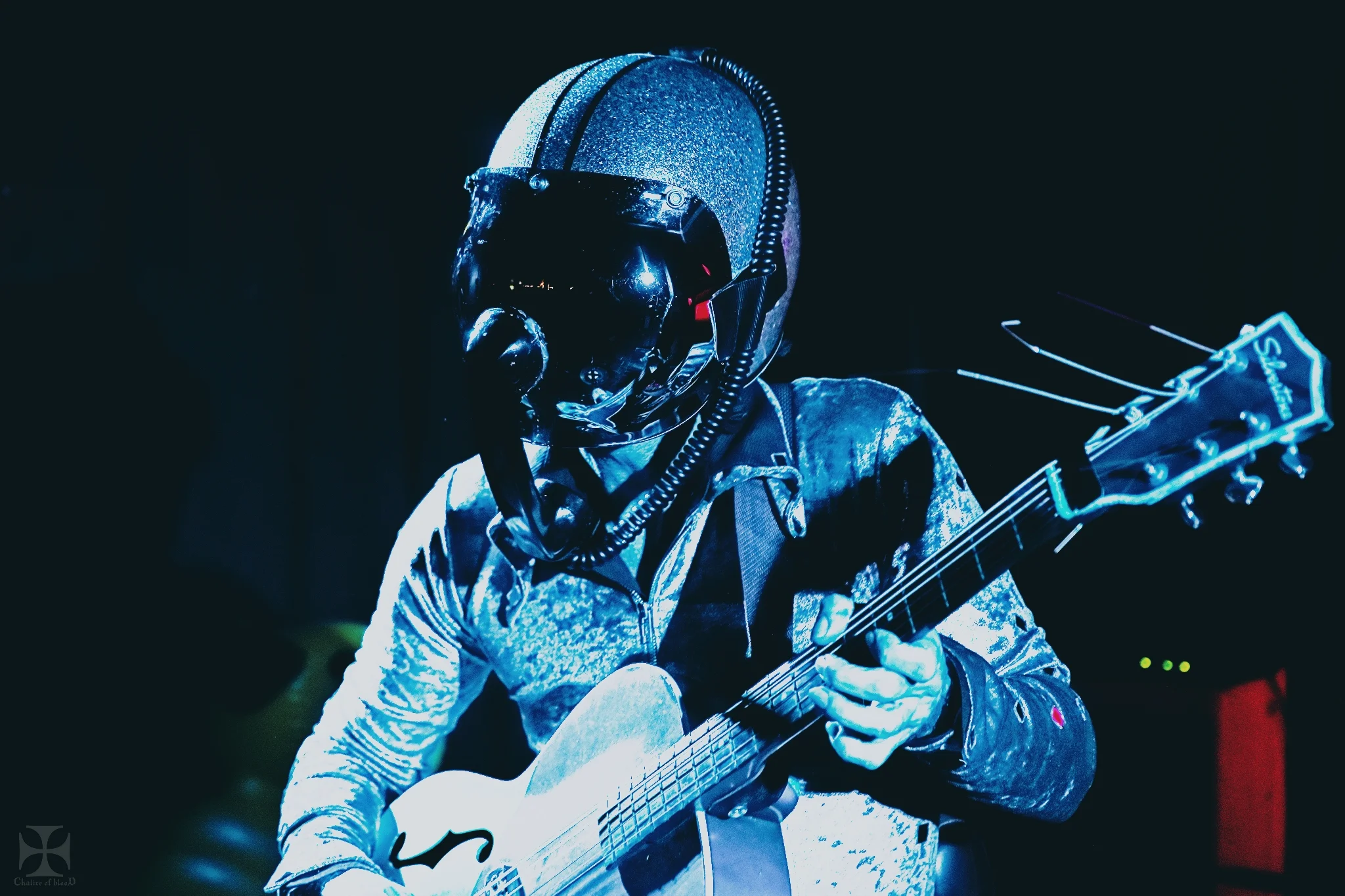 Live Photos - Bob Log III - Auckland - 2nd May 2019