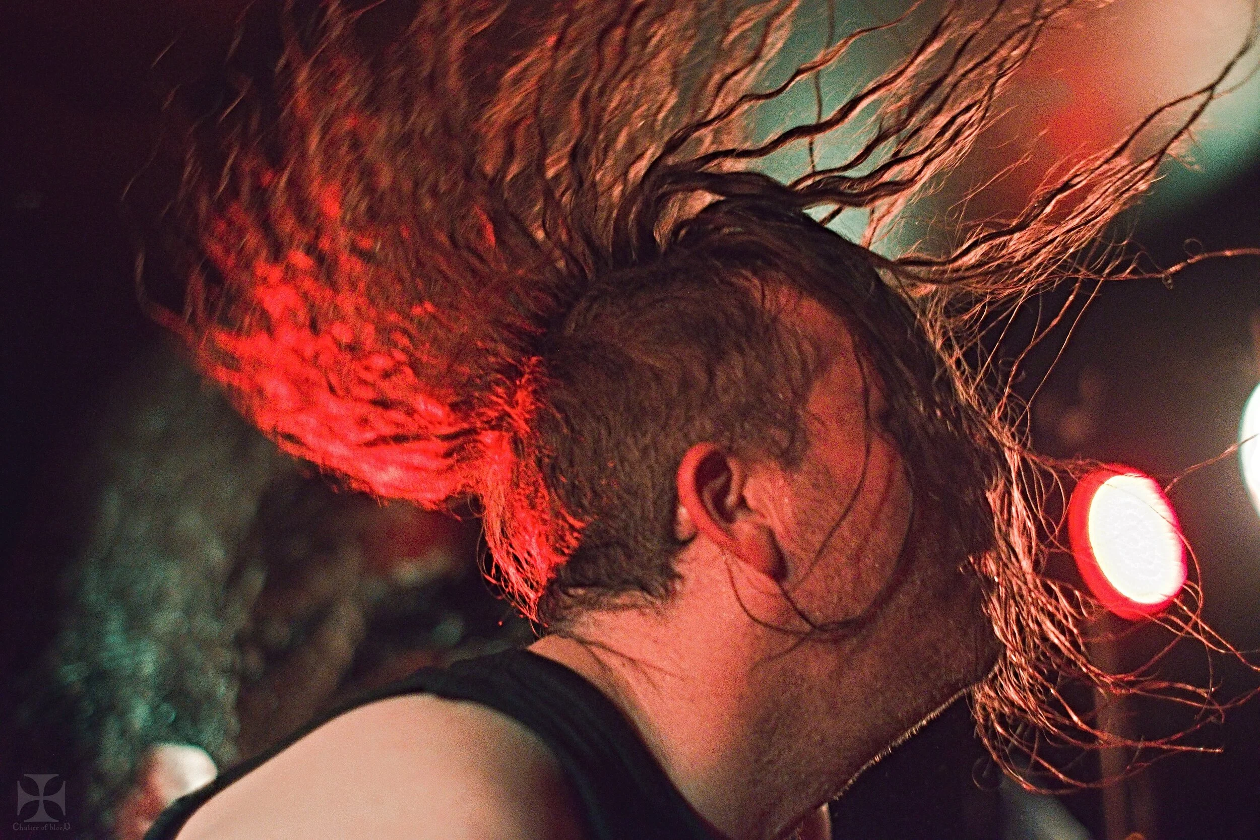 Live Photos - Cattle Decapitation - Auckland - 26th February 2020