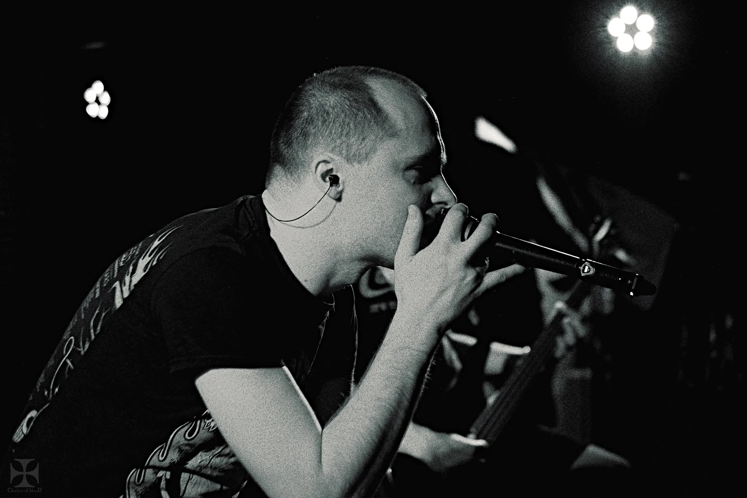 Live Photos - Chop Suey - Auckland - 21st January 2020