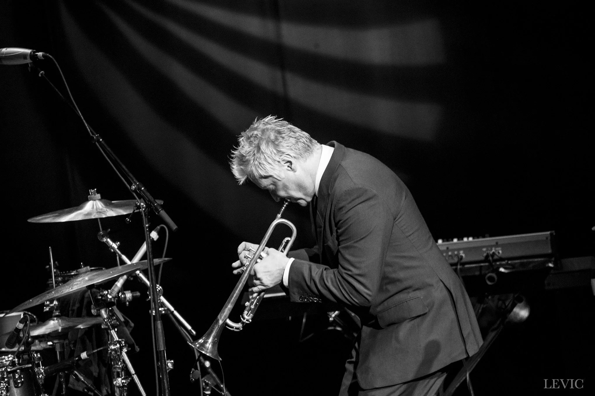 Live Photos - Chris Botti - Auckland - 21st February 2018