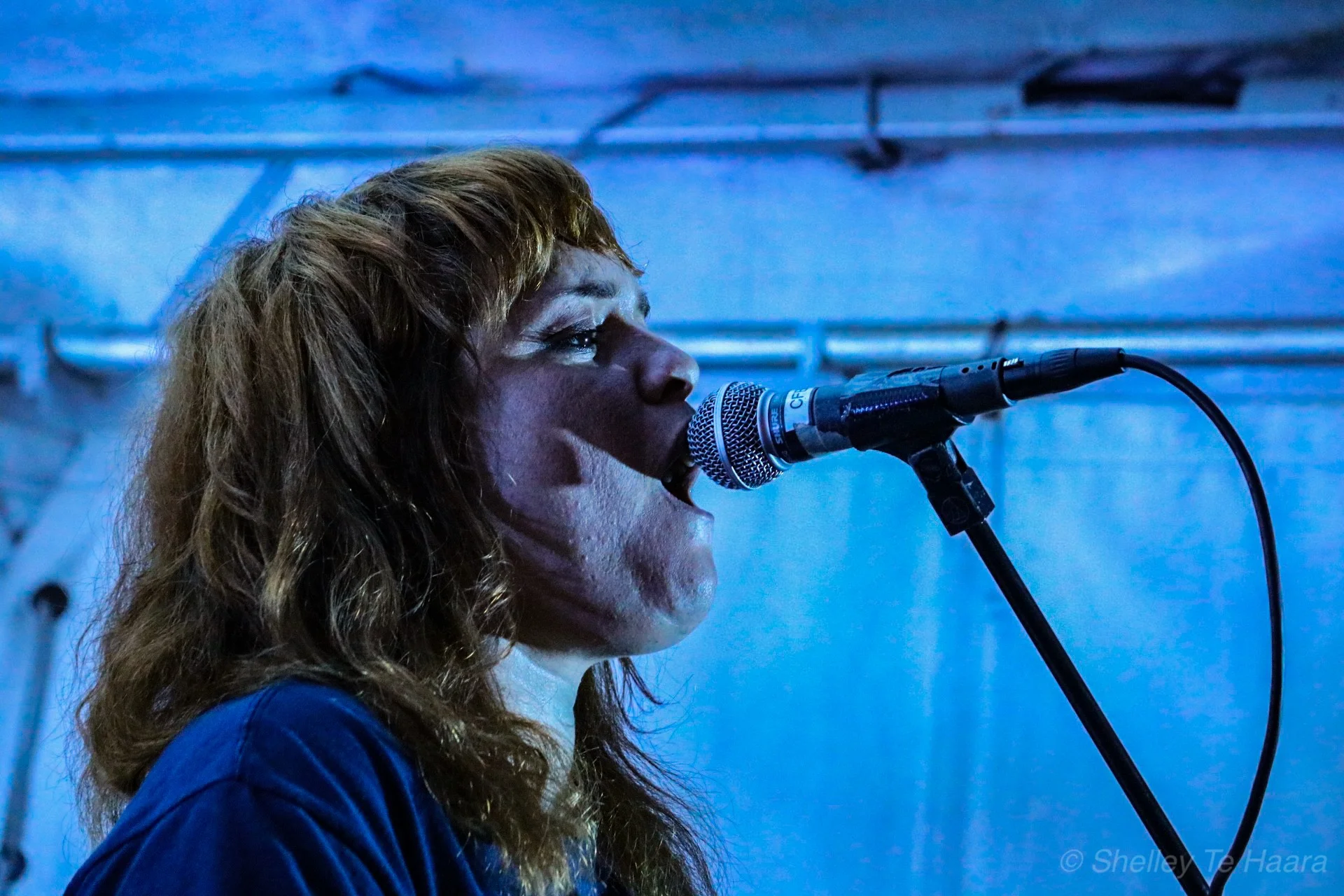 Live Photos - Elemeno P - Whangarei - 27th October 2018
