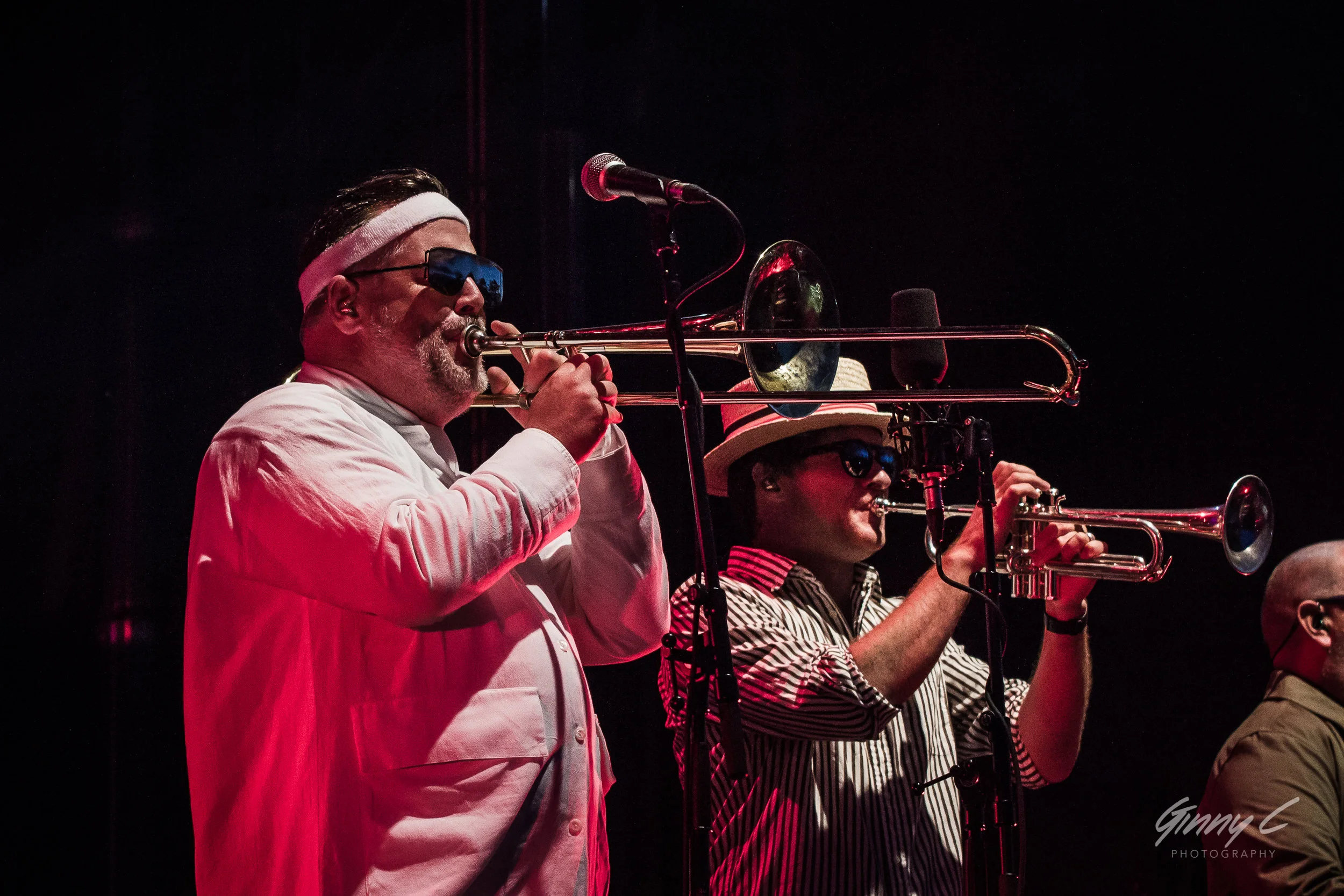 Live Photos Fat Freddies Drop - Auckland - 19 January 2019