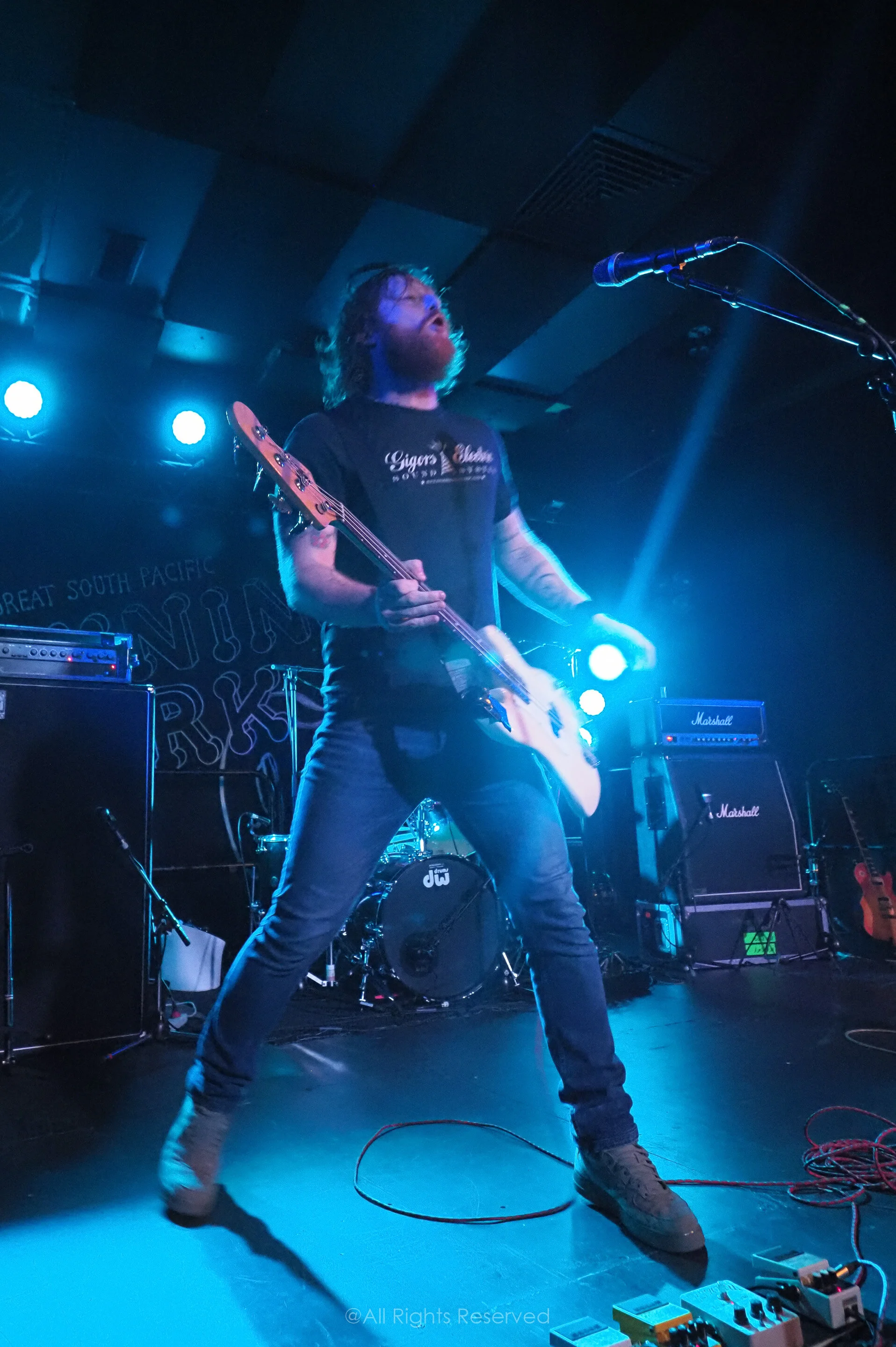 Live Photos - Mclusky - Auckland - 18th January 2020