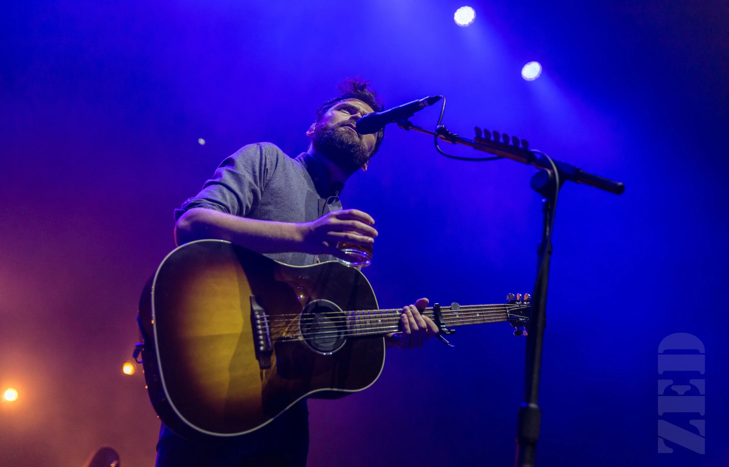 Live Photos - Passenger - Auckland - 17th January 2017