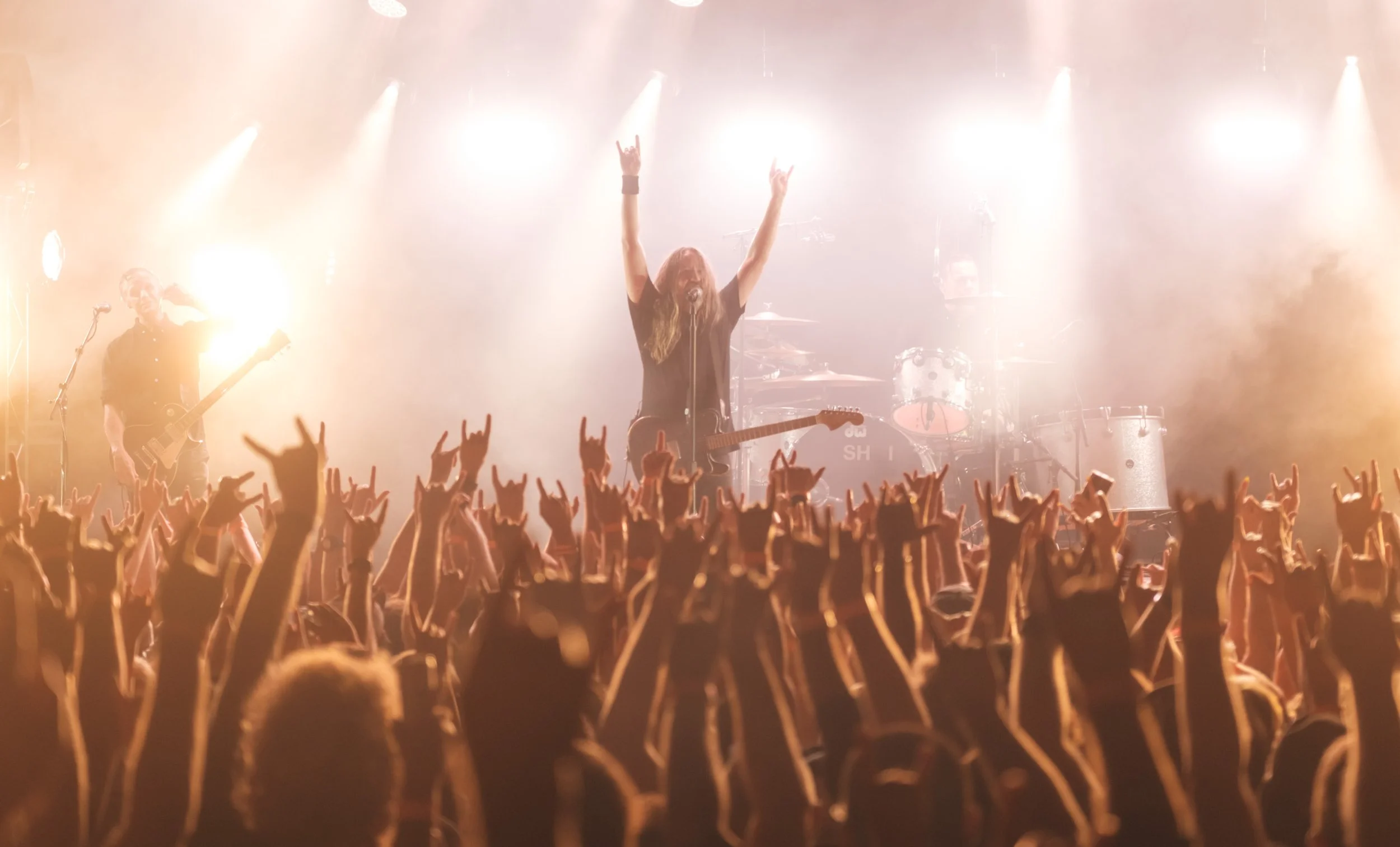 Live Photos - Shihad - Hawkes Bay - 31st January 2025