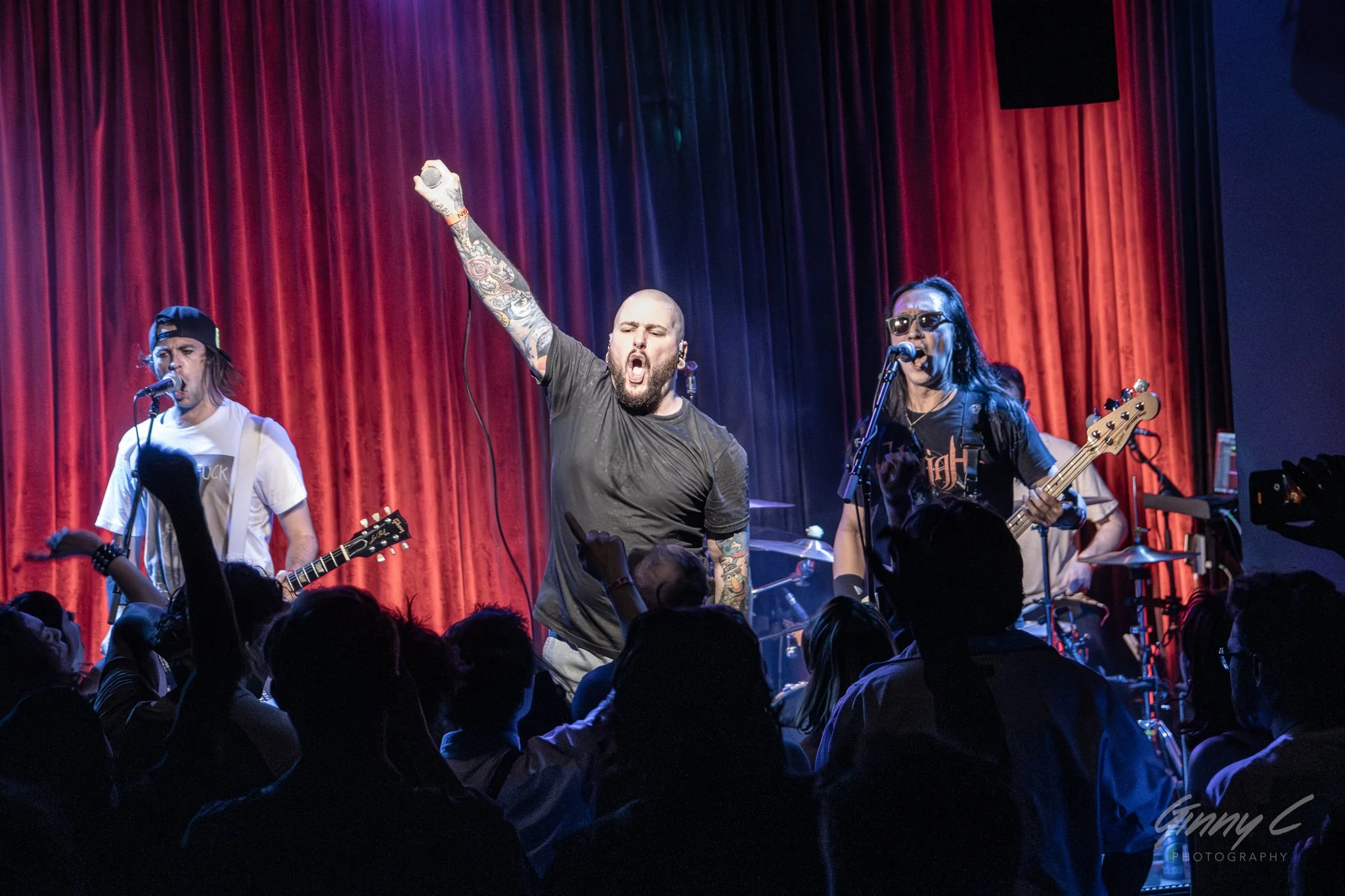 Live Photos - Stray Dogs - Auckland - 21st September 2024