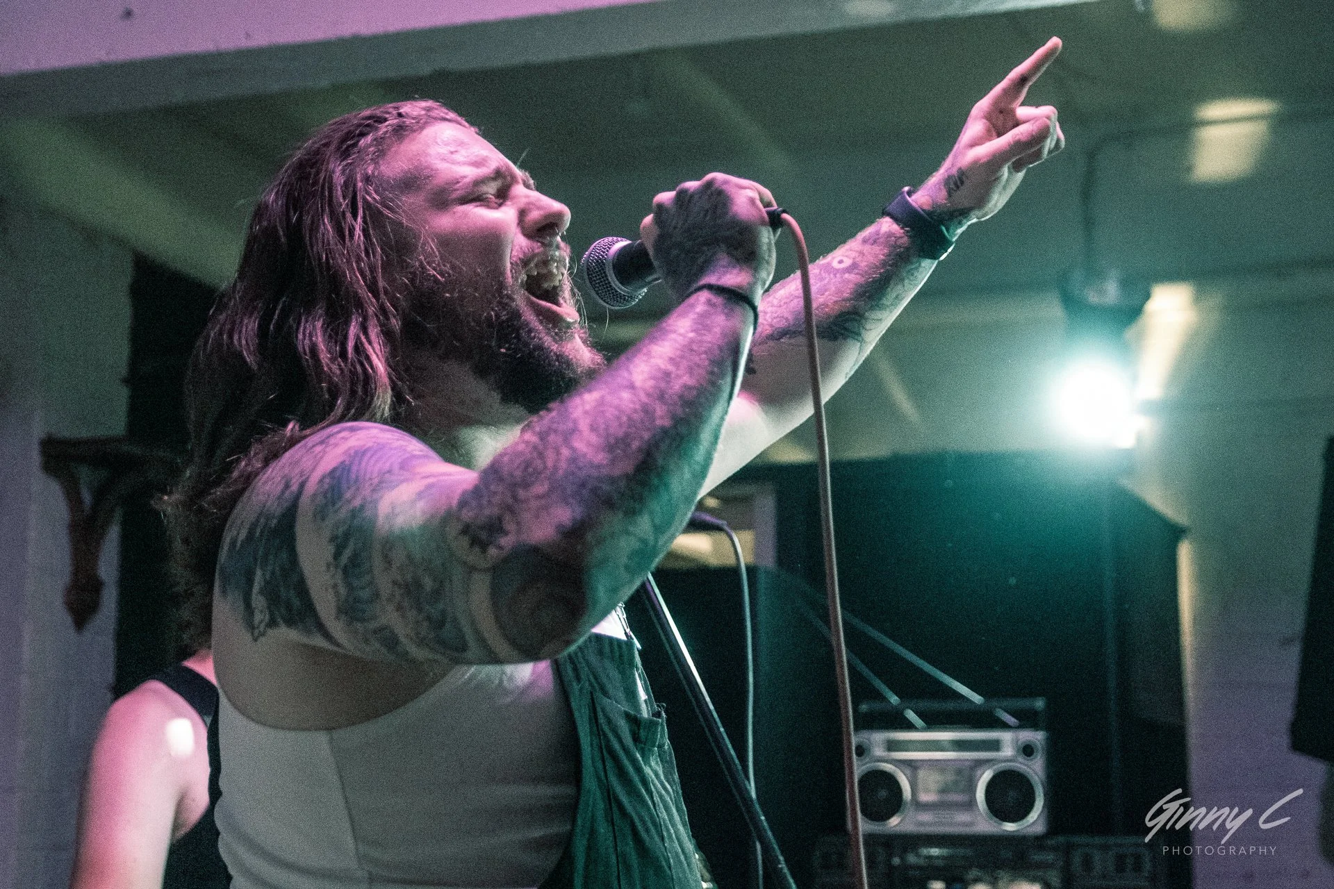 Live Photos - Stray Dogs - Auckland - 25th November 2023