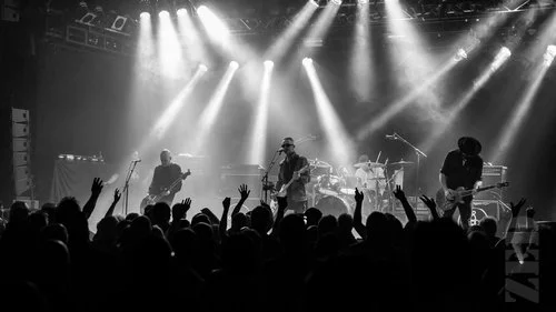 Live Photos - The Mission - Auckland - 19th November 2016