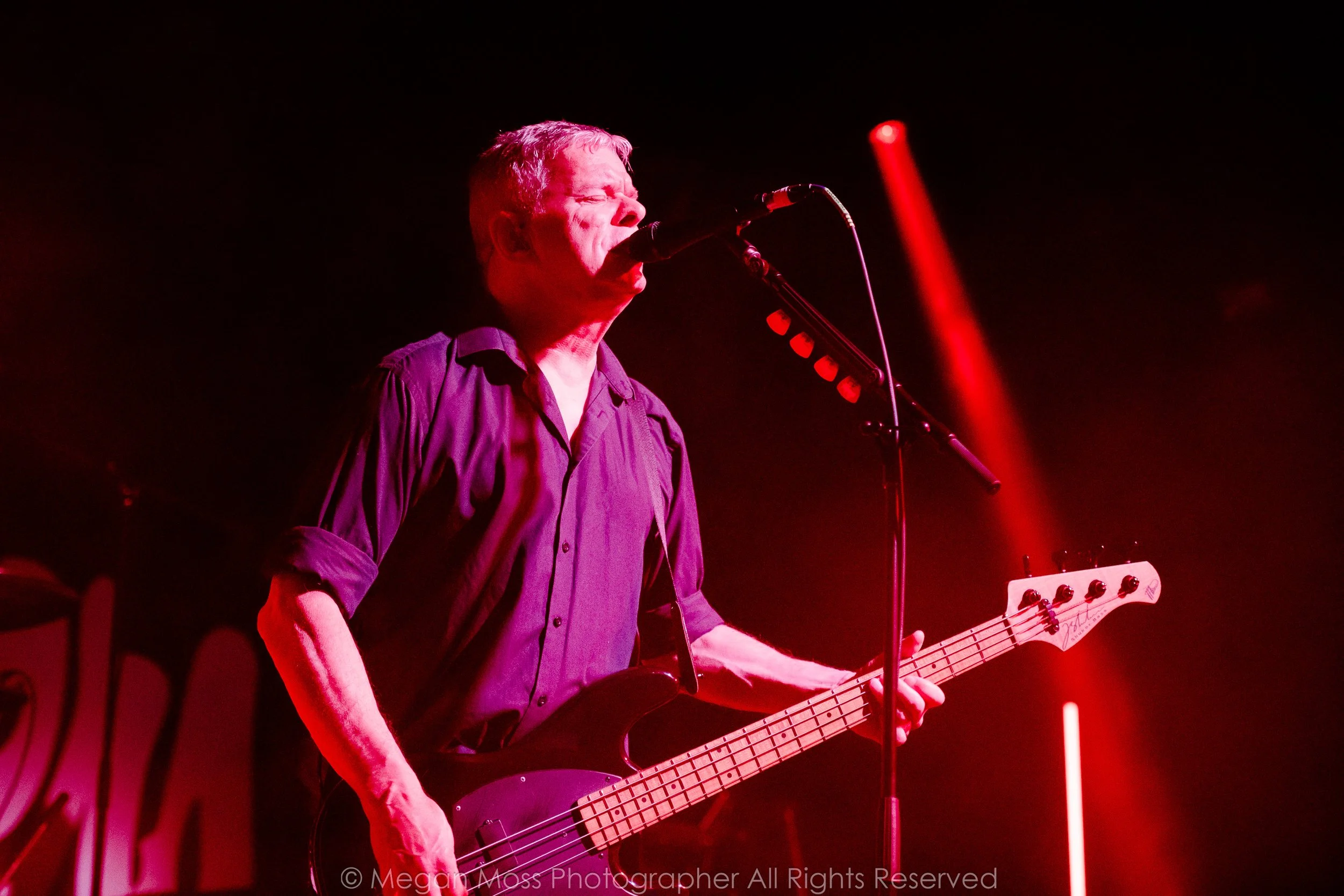 Live Photos - The Stranglers - Auckland - 13th March 2025