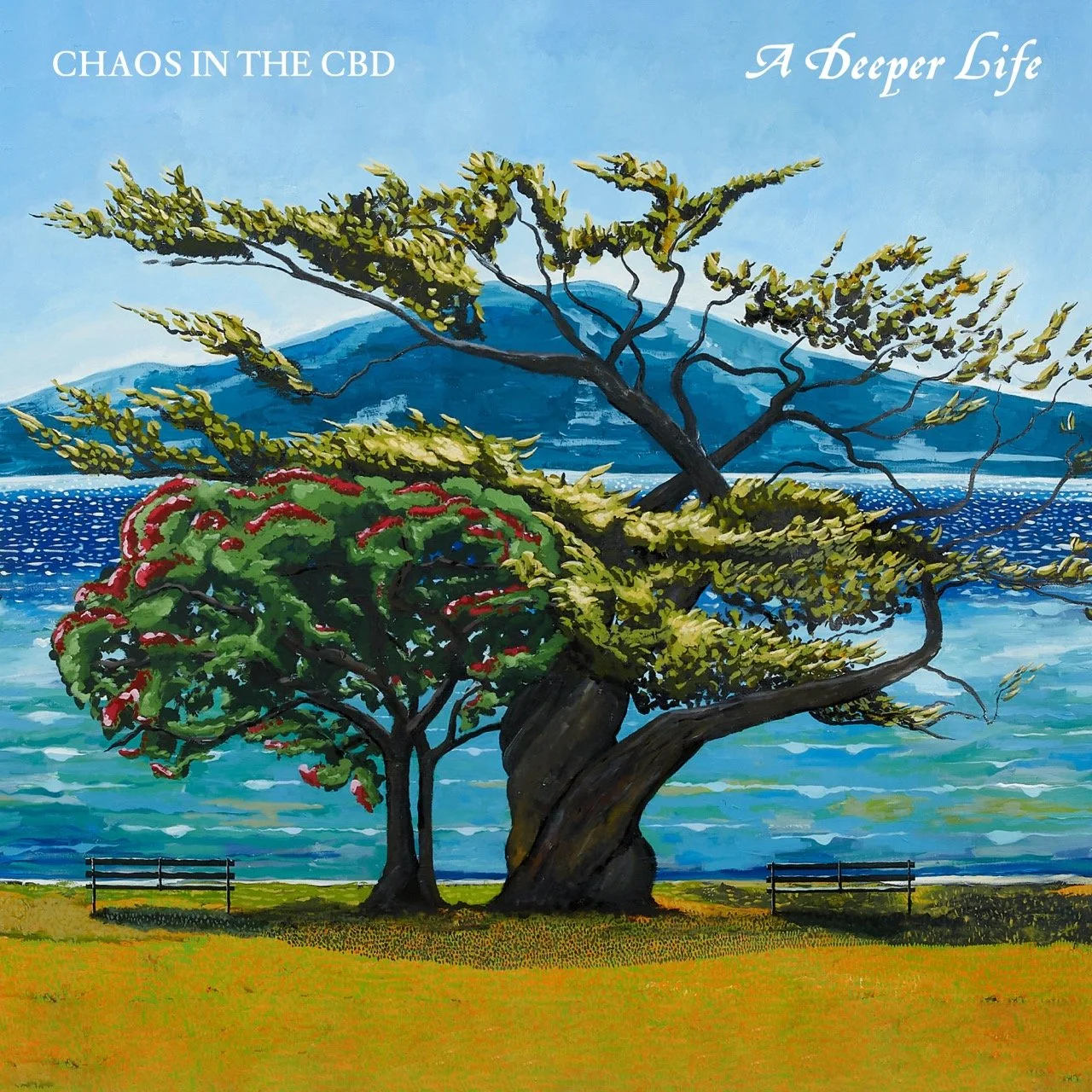 New Music Release - Chaos in the CBD announce debut album A Deeper Life - May 2025