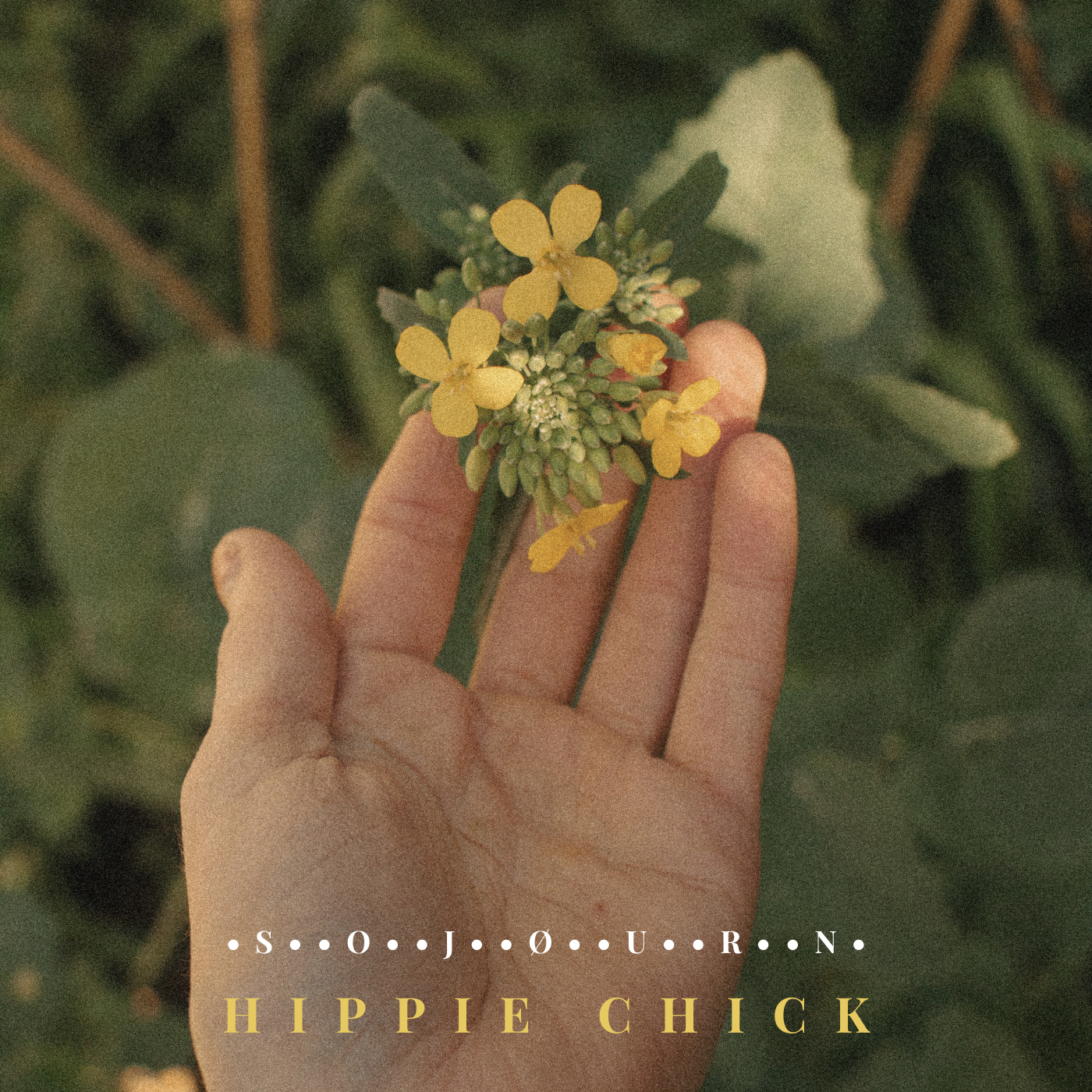 New Music & Video Release - Psych-surf rockers Sojourn drop energetic new single Hippie Chick - 27th September 2024