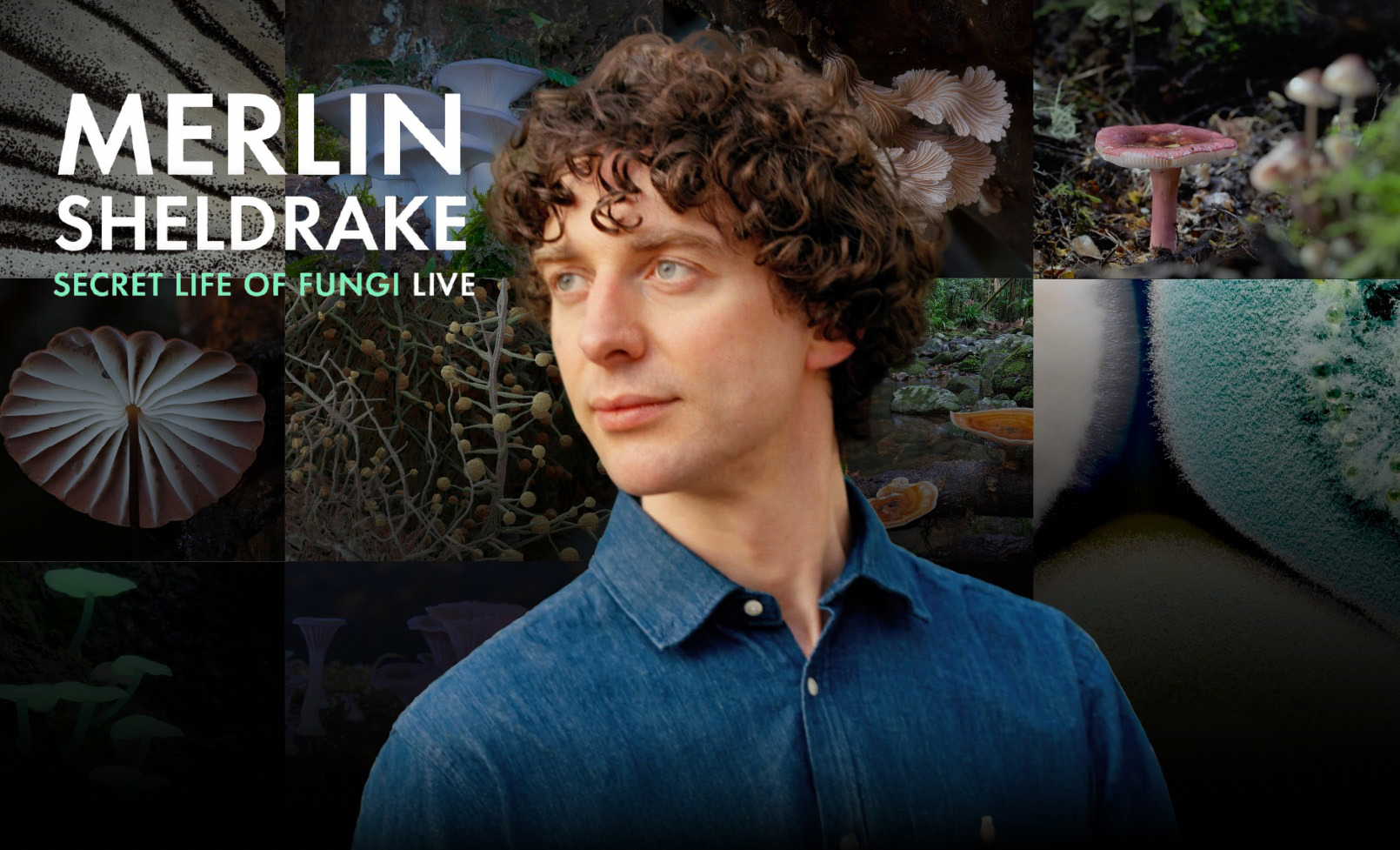 Tour News - Merlin Sheldrake announces NZ show - December 2025