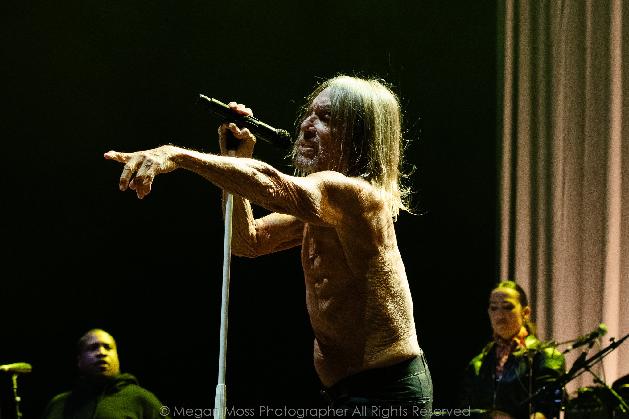 Concert Review - Greenstone Summer Tour 2026 - Auckland 29th January 2026 