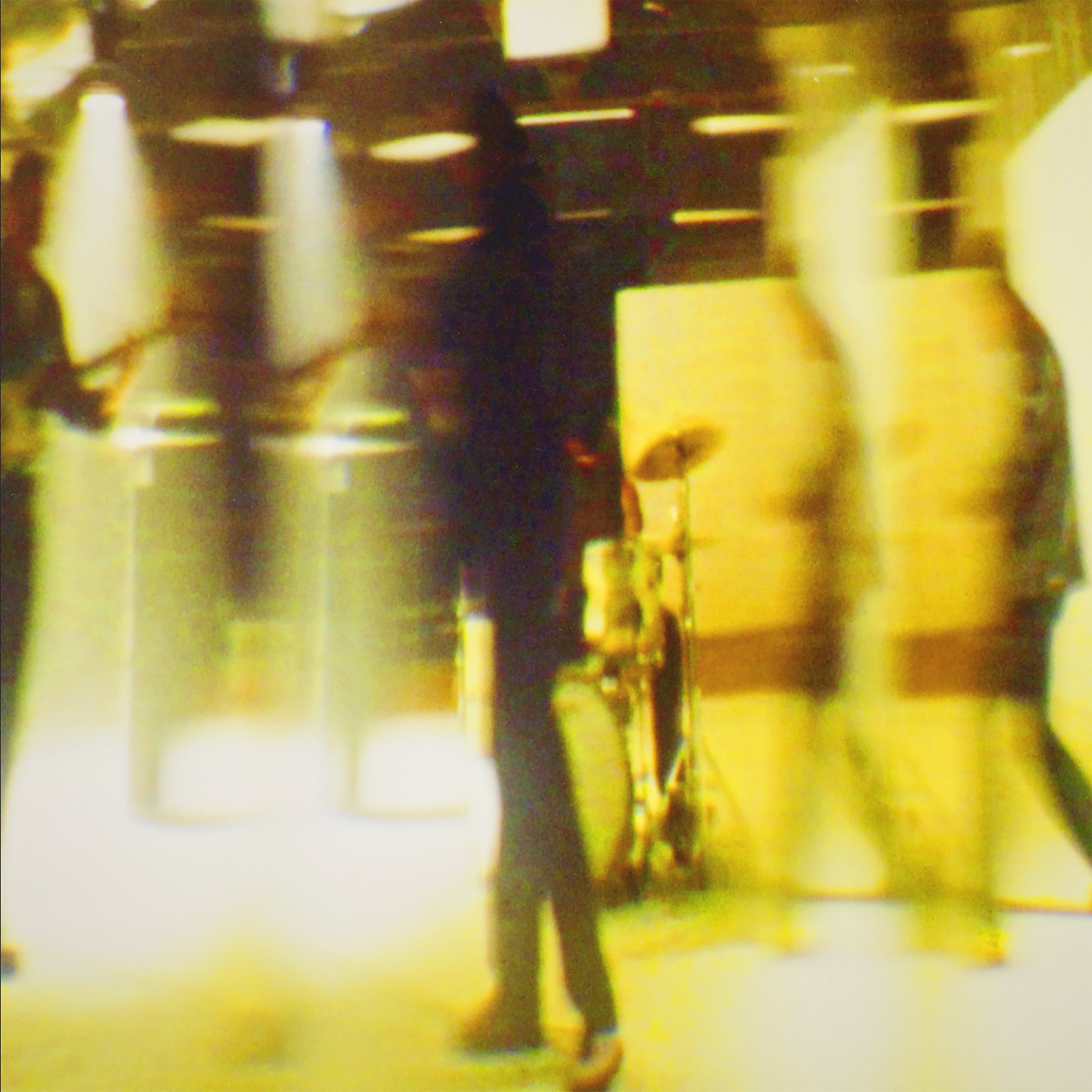 New Music &amp; Video Release - The Temper Trap release single 'Into The Wild' - 27th February 2026