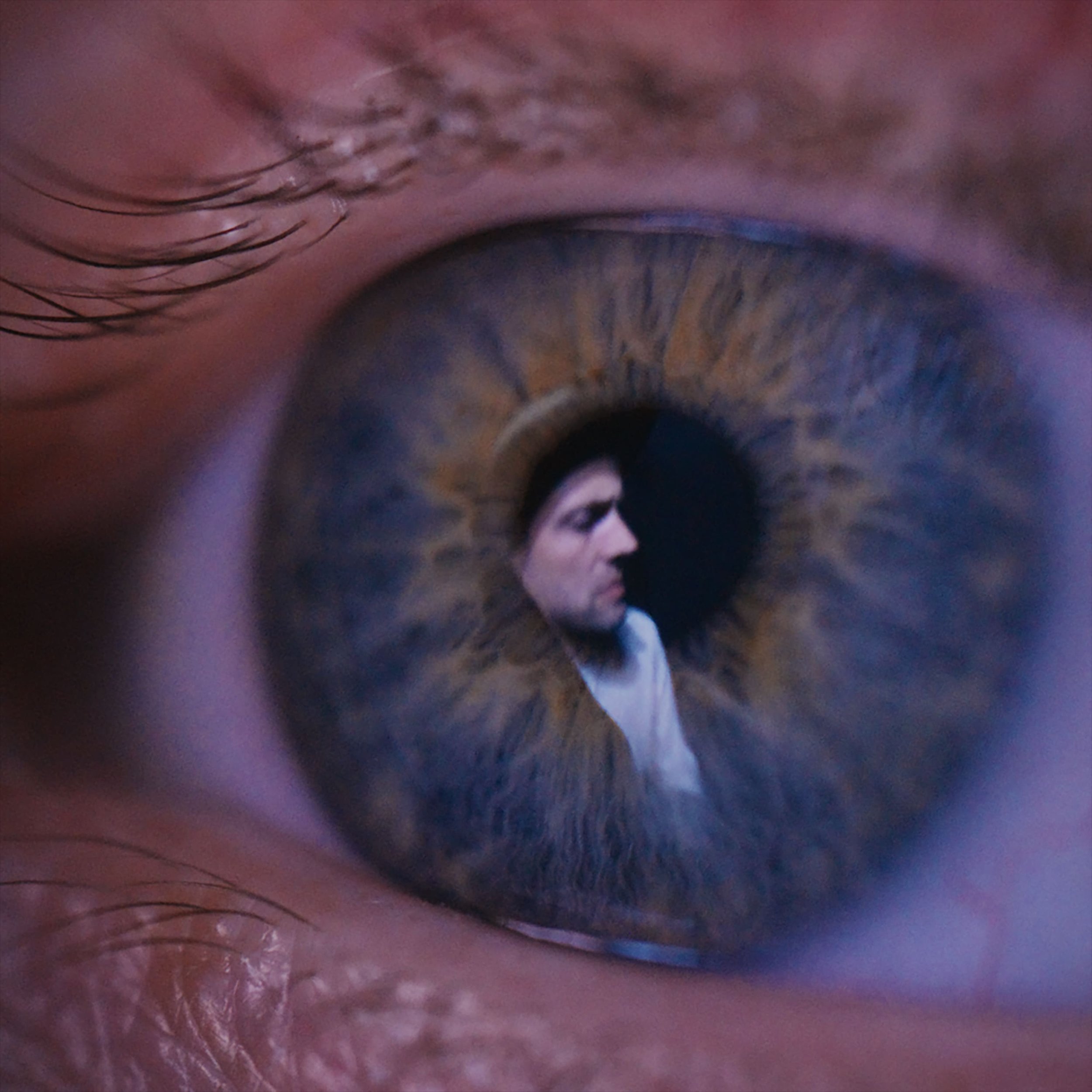 New Music &amp; Video Release - The Veils release single &amp; music video Aurora from 'Fragile World' album - 24th April 2026