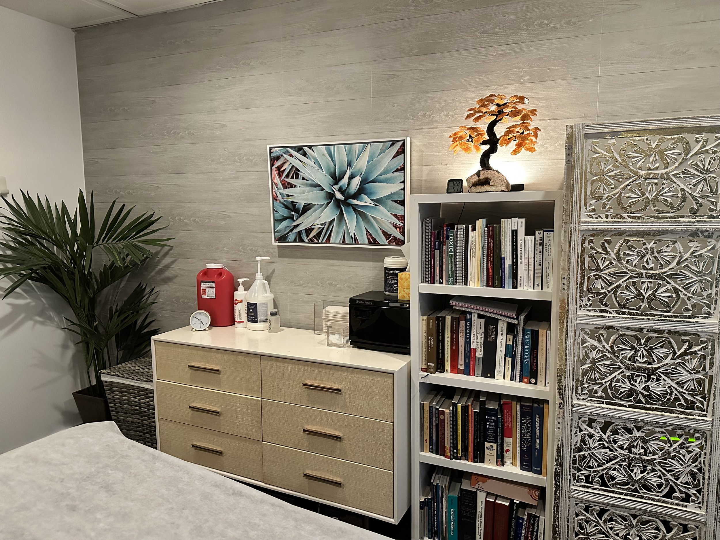 Interior of a room with a white dresser with six drawers, a tall bookshelf filled with books, a framed plant picture, a carved decorative panel, a small orange and black bonsai-like tree lamp, and various items on the dresser including cleaning supplies and a small clock.