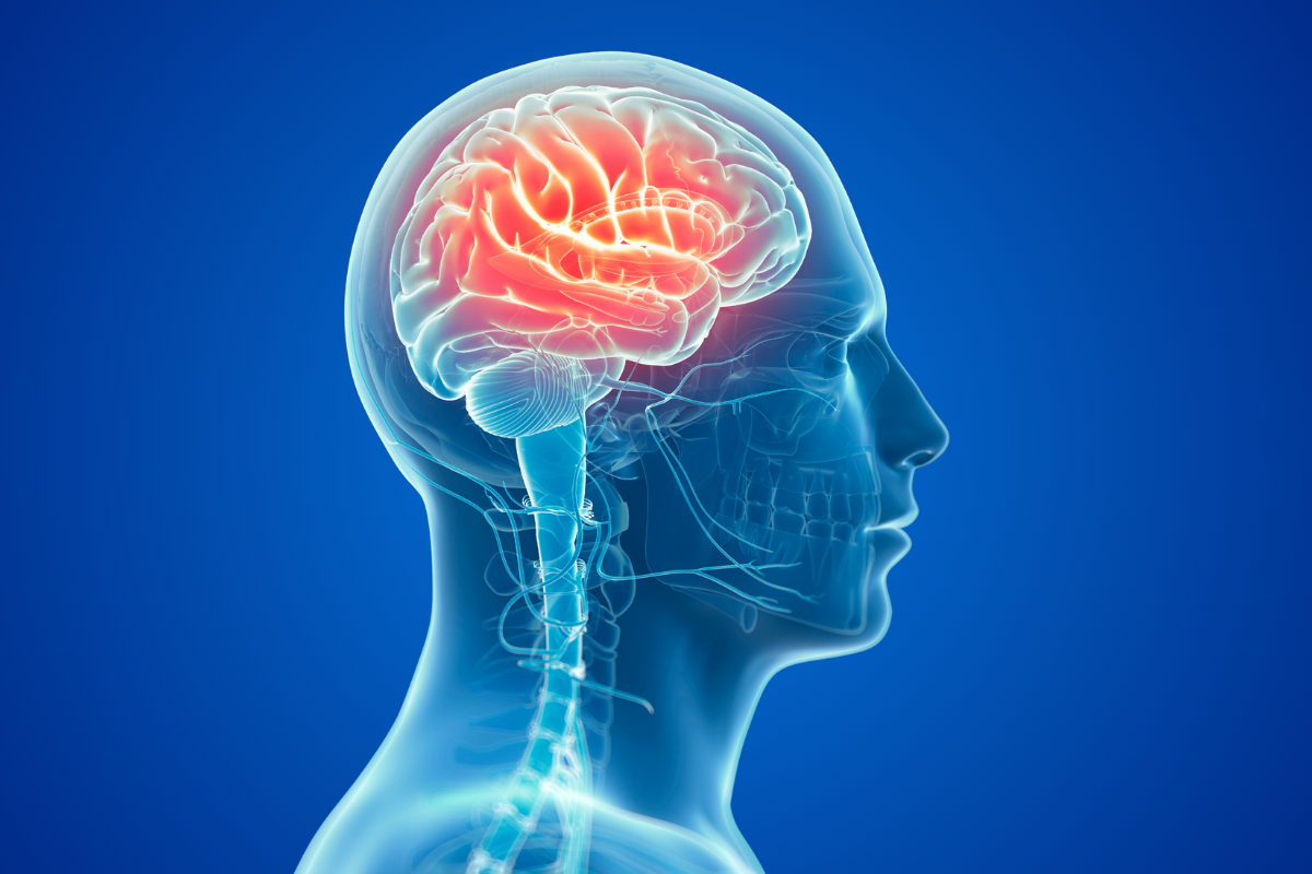 Medical illustration of a human head and brain with neural connections highlighted, showing a focus on the brain's activity.