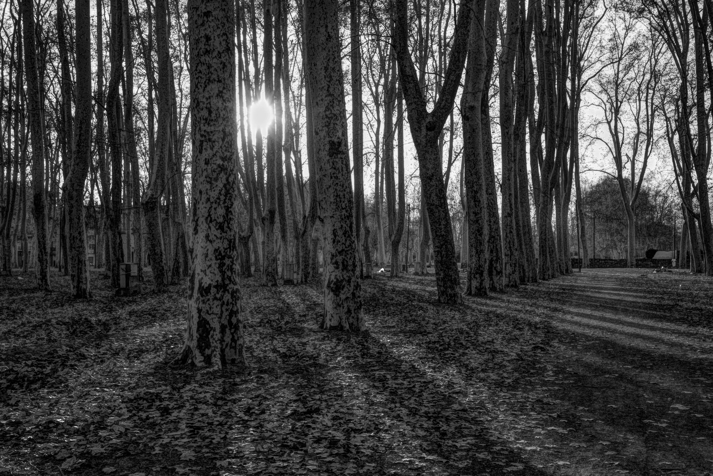 Girona — where light filters through silence.