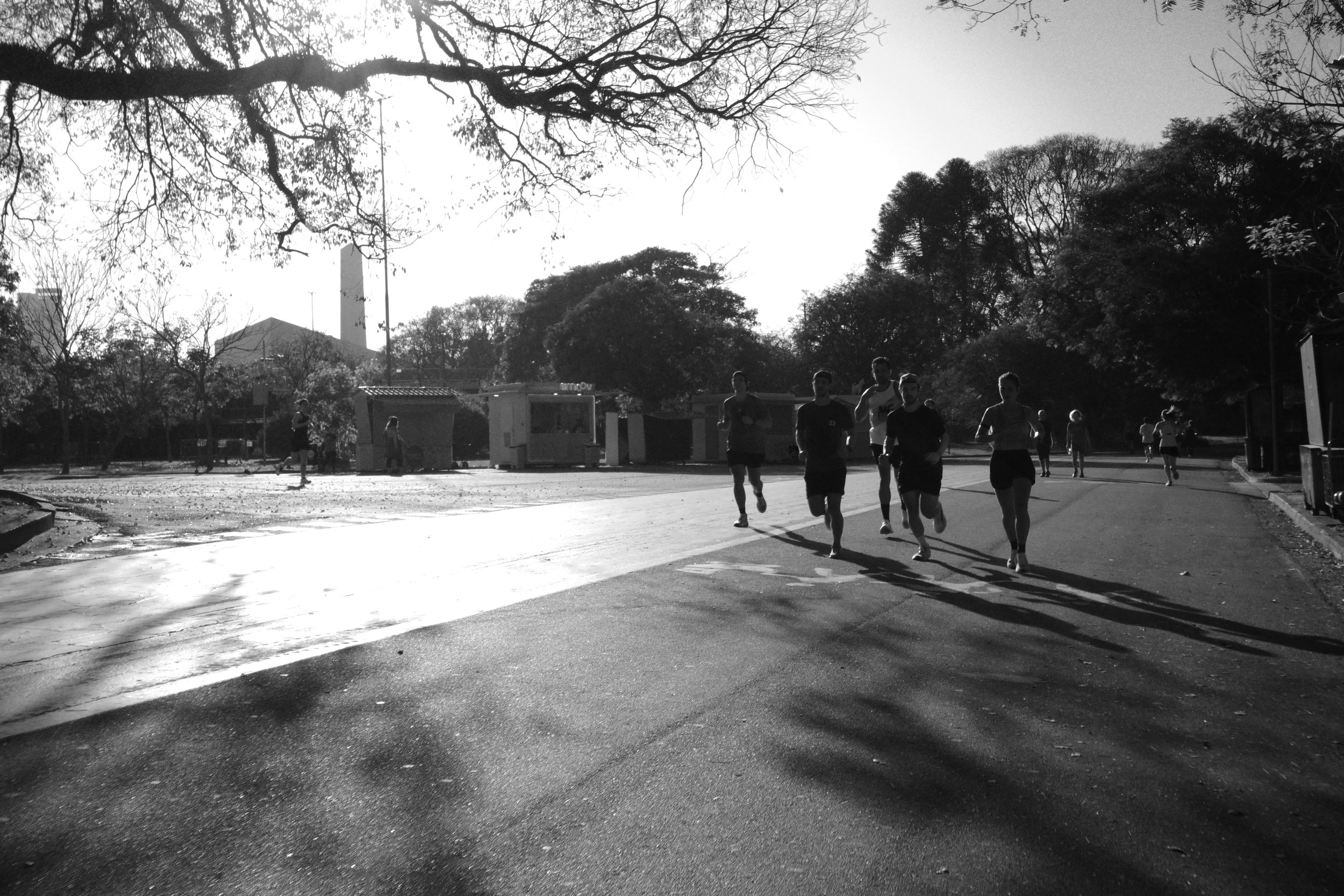 Ibirapuera Park — where light, motion, and silence run together.