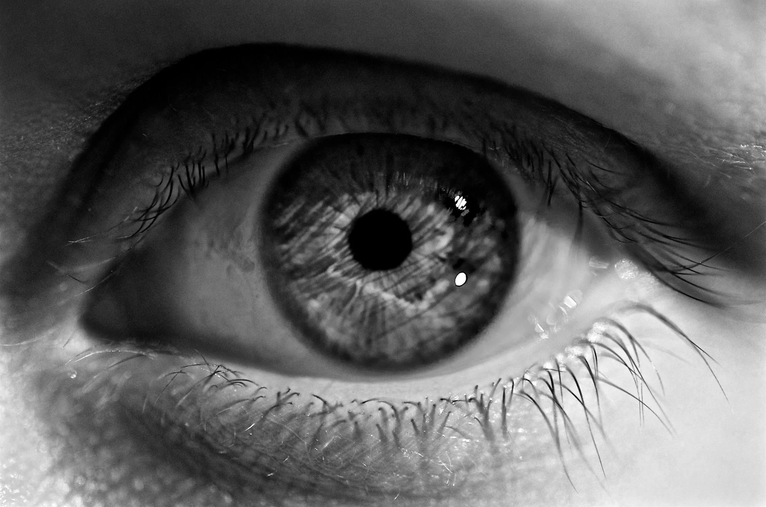 The eye — a universe within...
