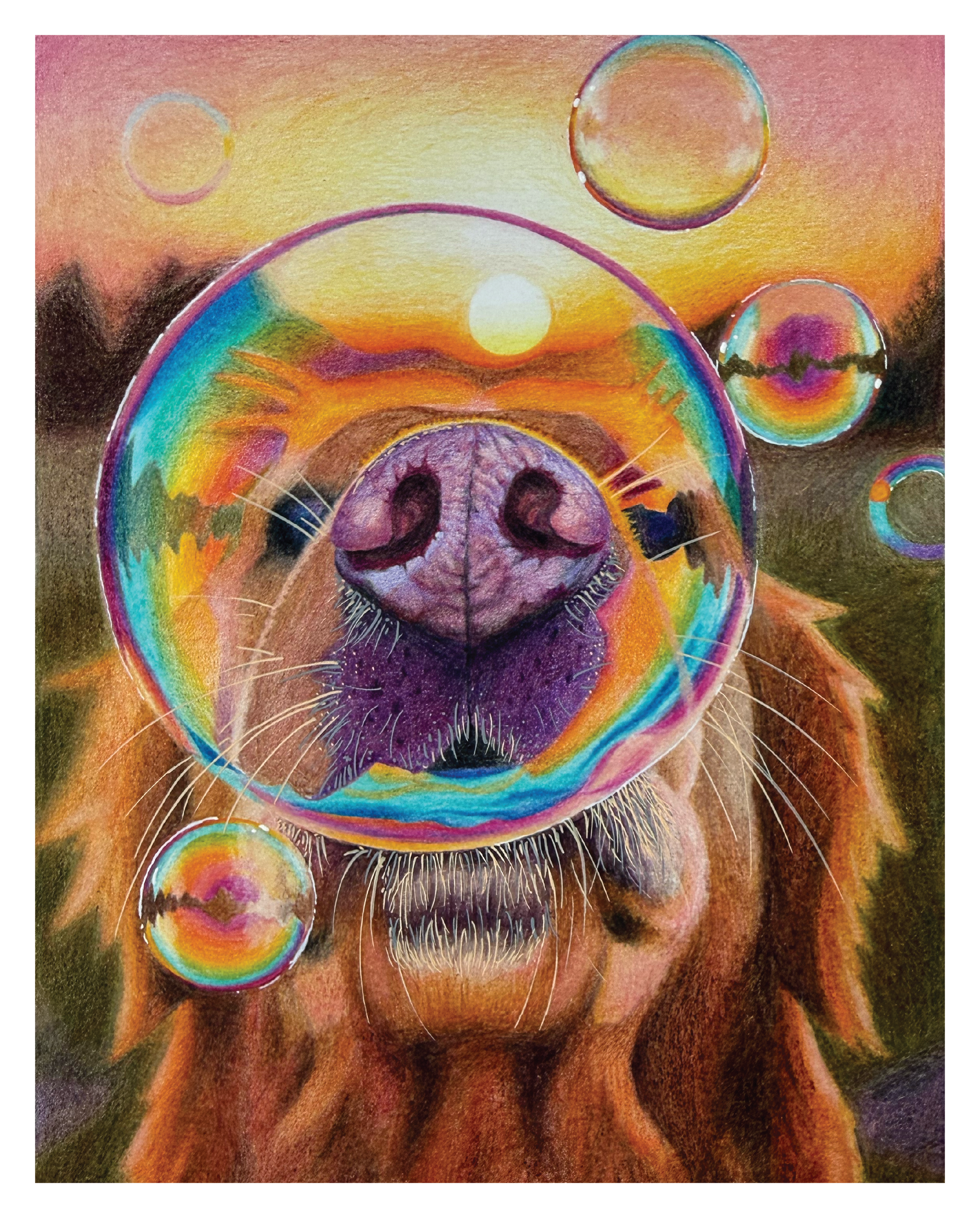 8x10 1 year P&P_Dog1.png