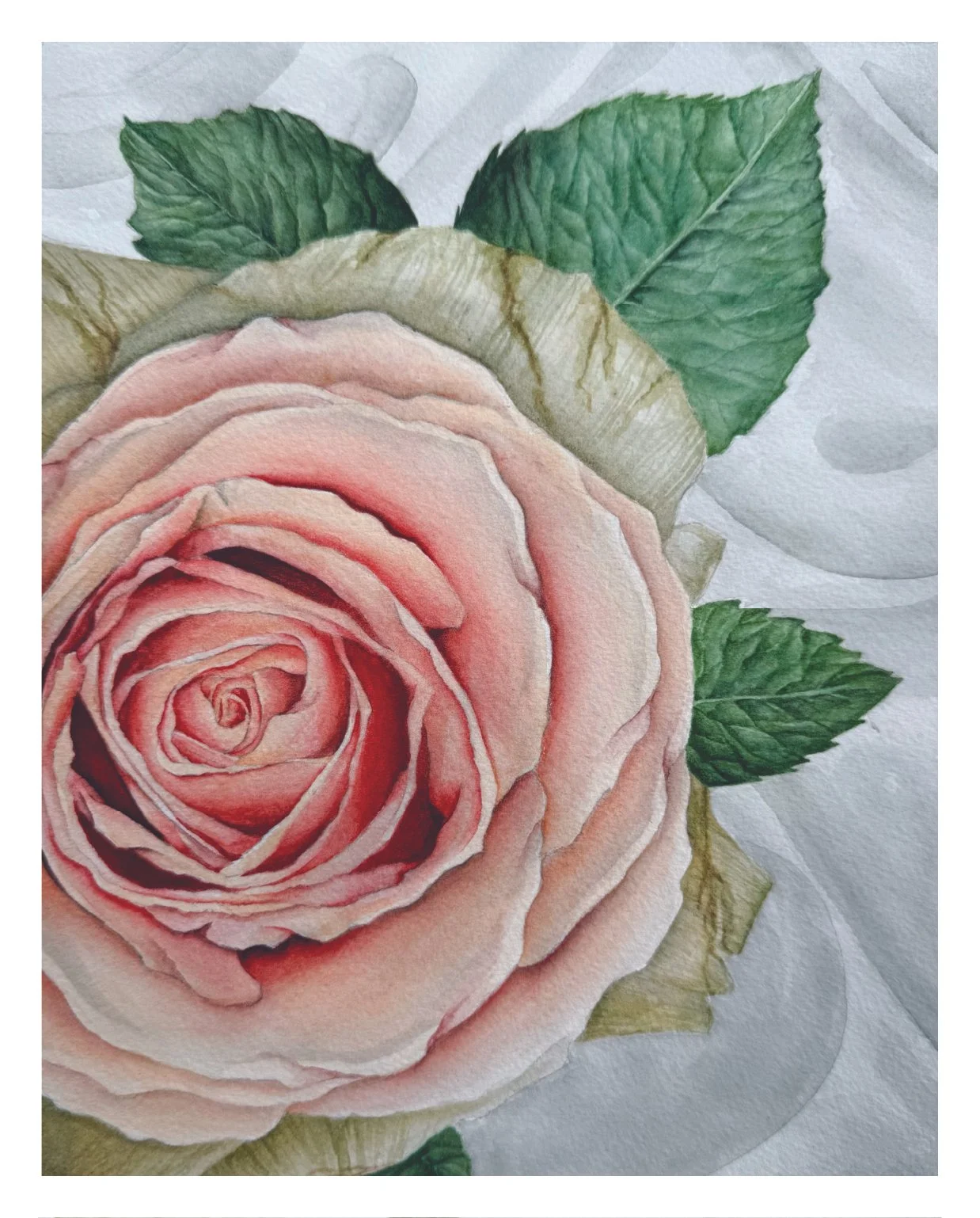 8x10 1 year P&P_Rose1.jpg