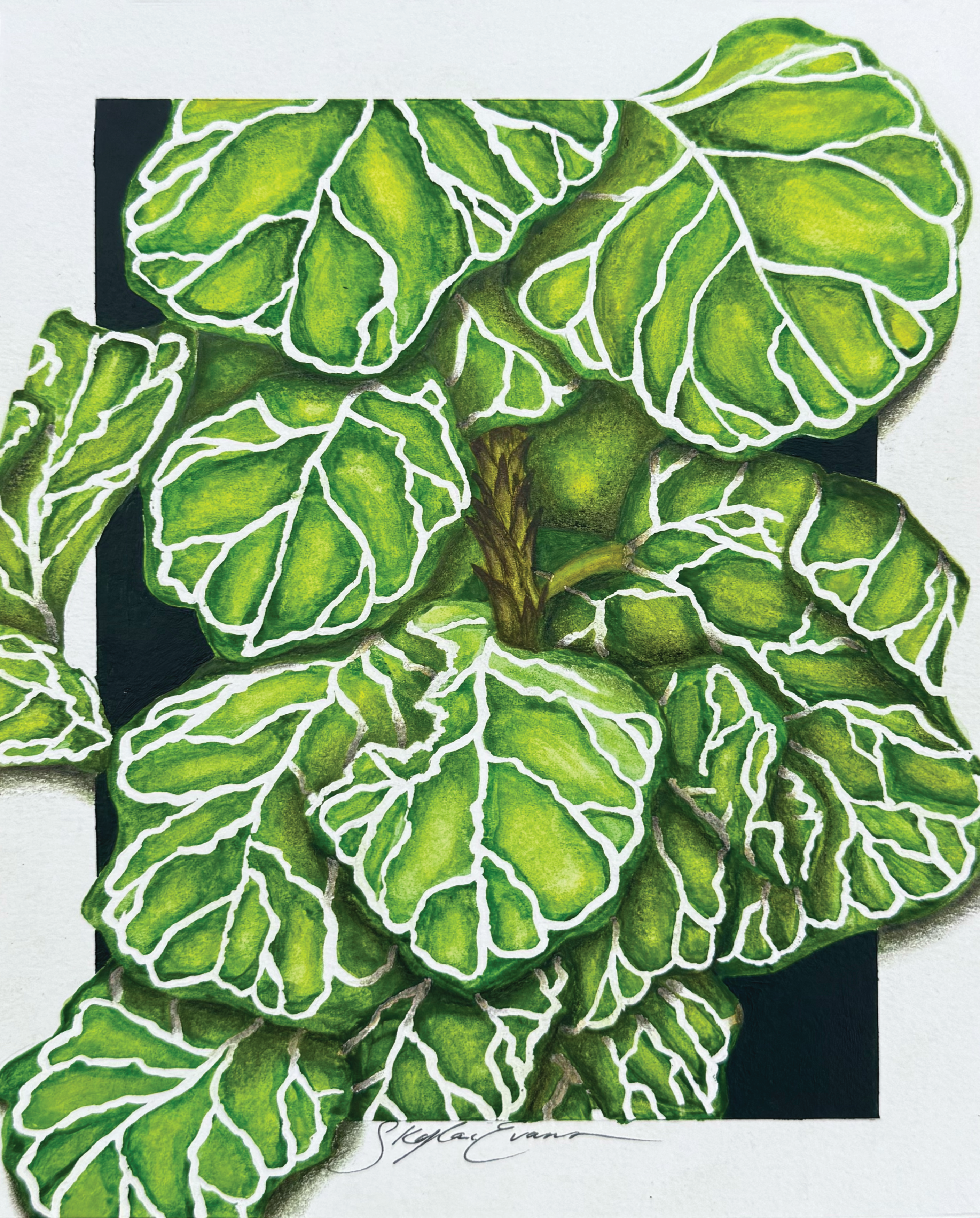 8x10 1 year P&P_Leaf1.png