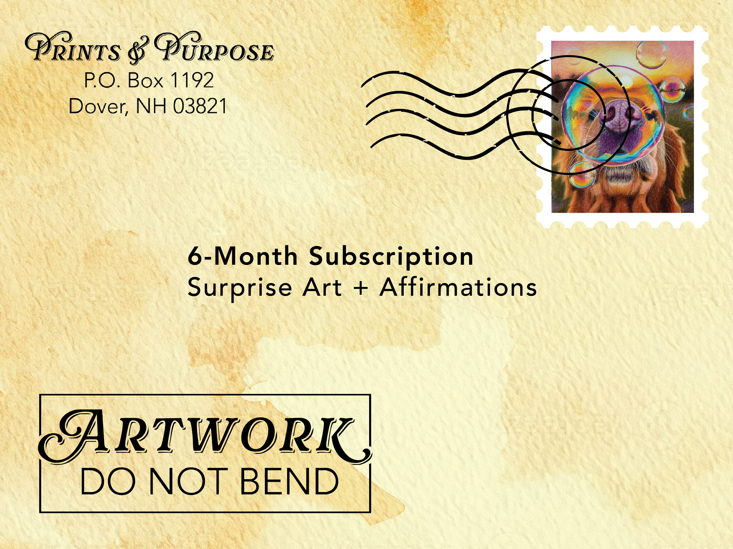 Six Month Subscription