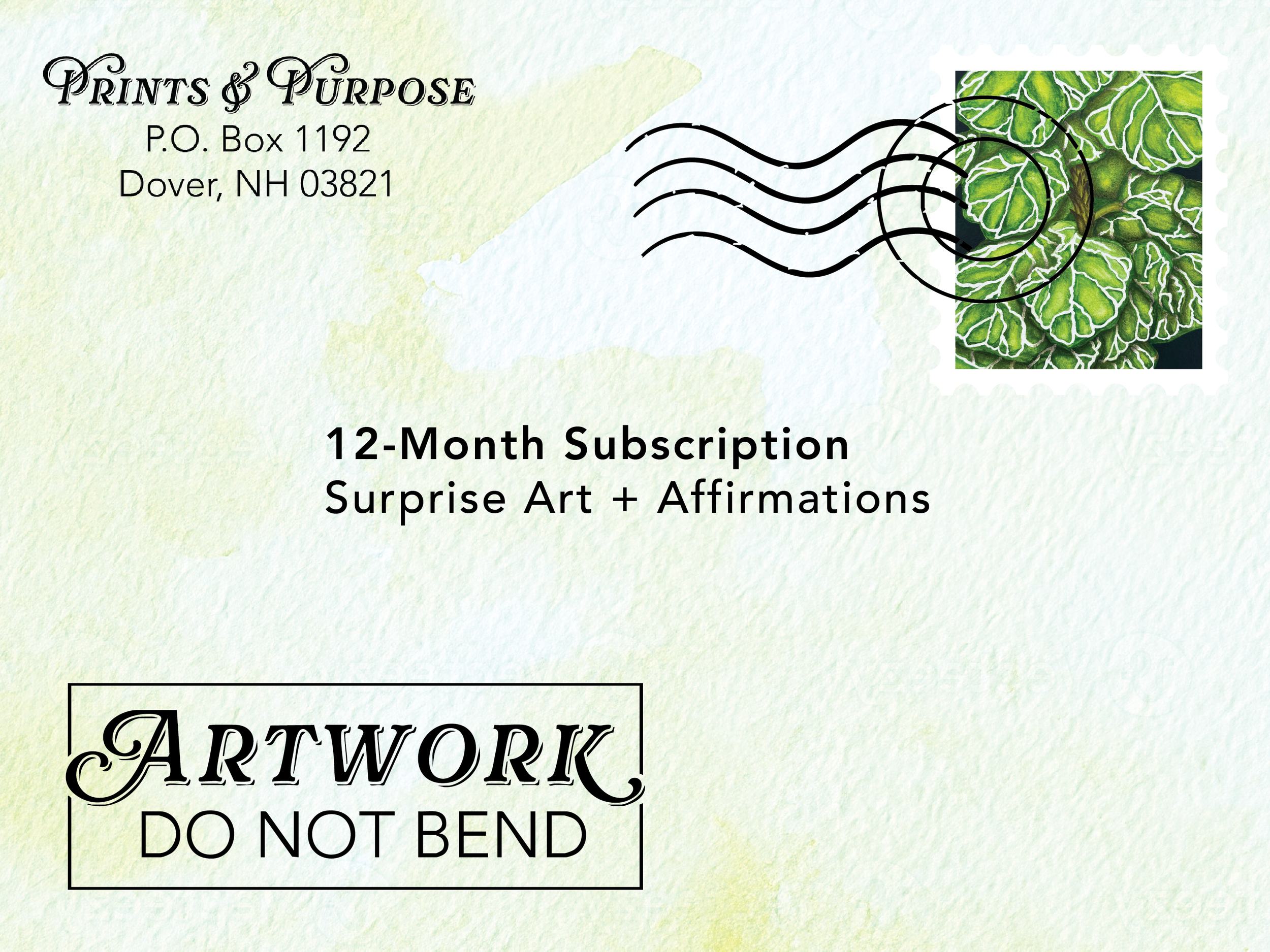 Twelve Month Subscription
