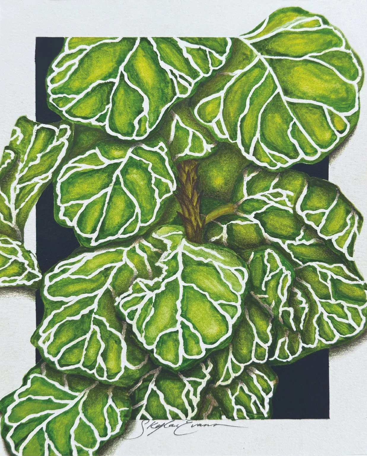 8x10 1 year P&P_Leaf1.jpg