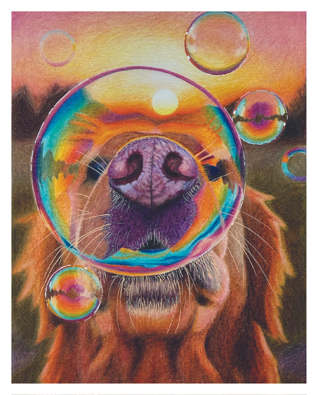 8x10 1 year P&P_Dog1.jpg